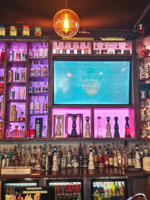 A Local's Guide 22 BEST Downtown St. Pete Bars