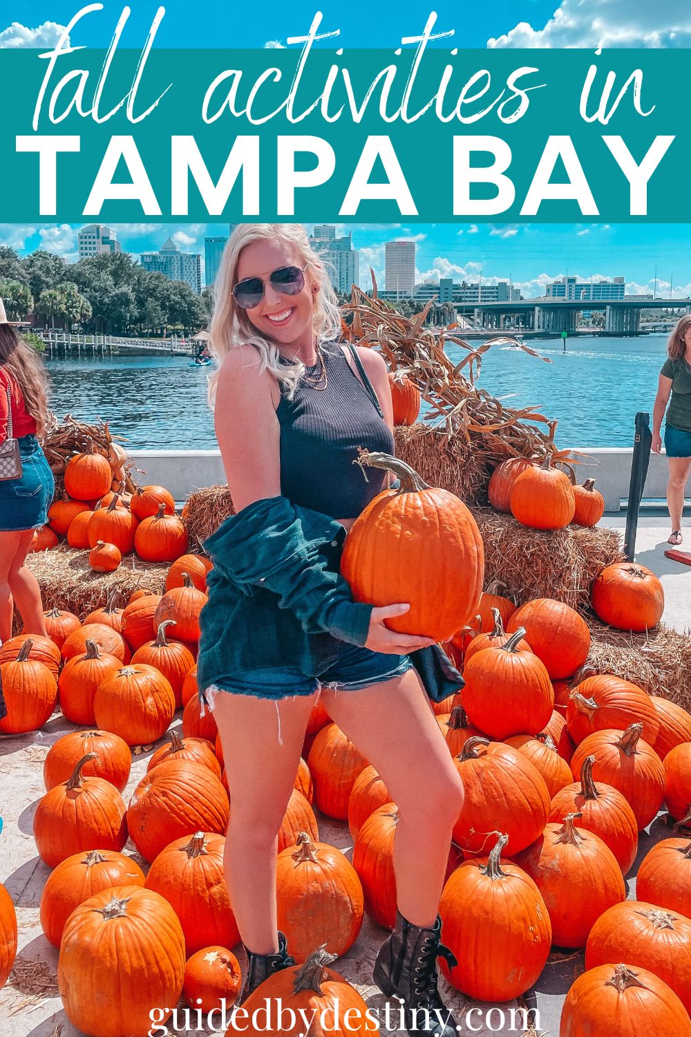 fall activities in tampa bay