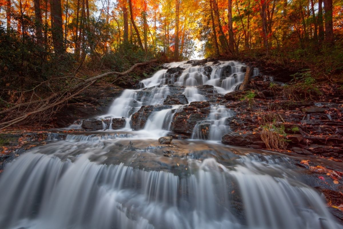 vogel state park georgia