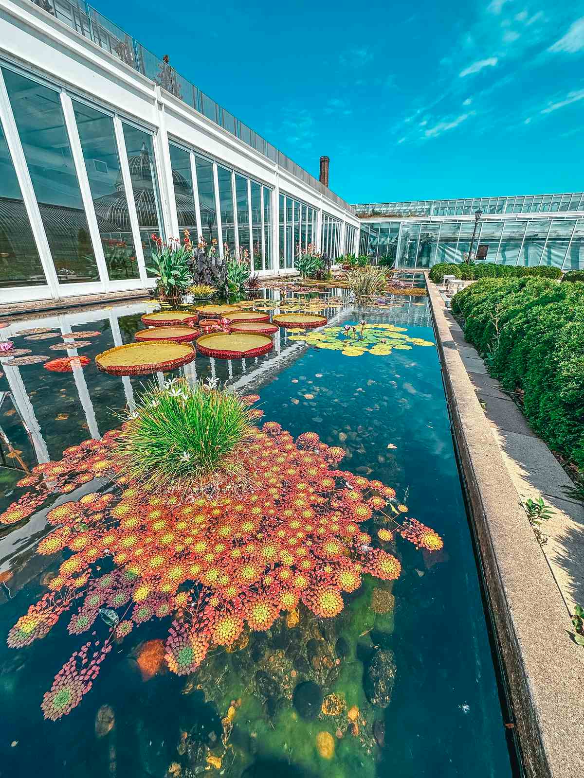 Como Conservatory St Paul Minnesota