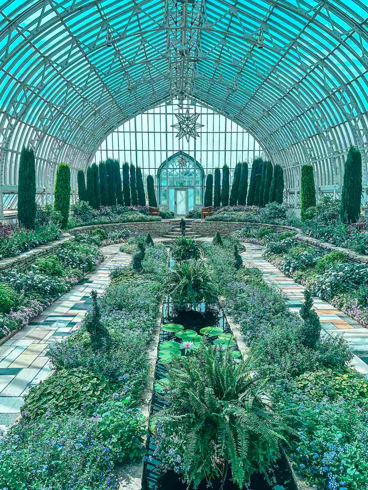 Inside Como Conservatory St Paul Minnesota