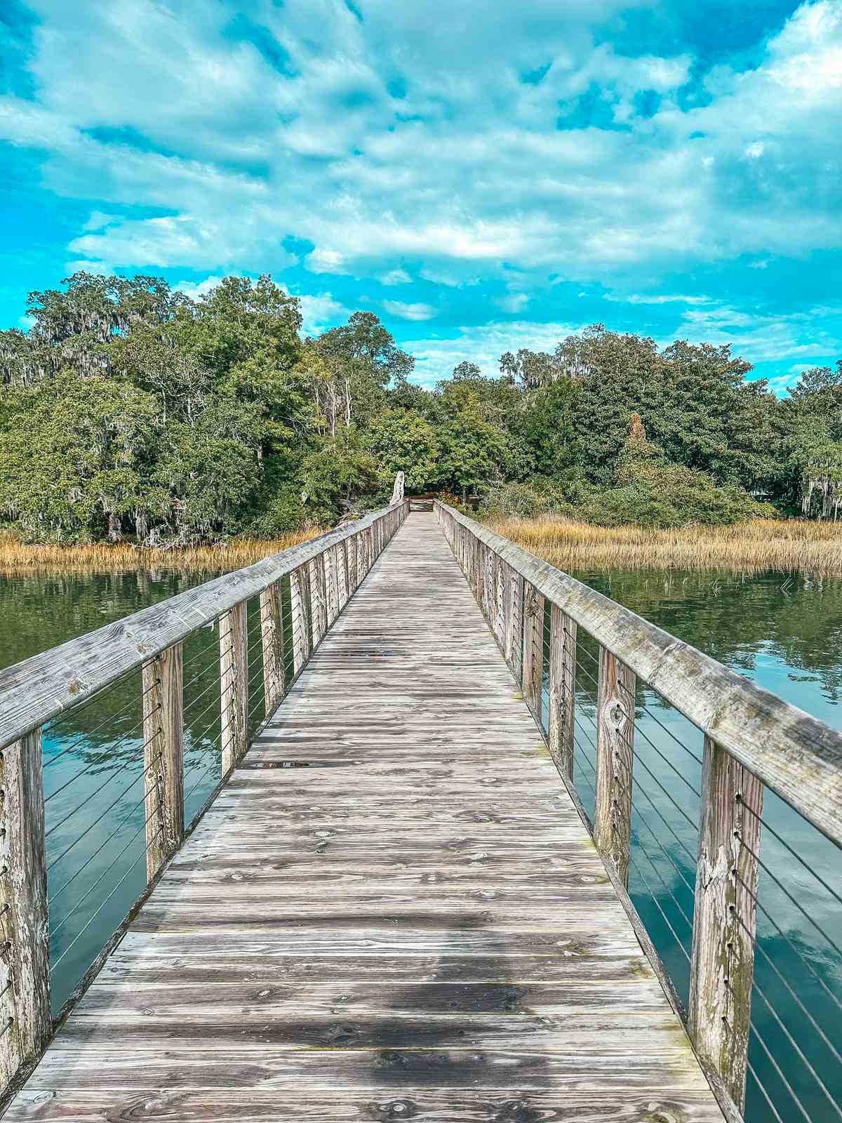 Boardwalk at Airlie Gardens