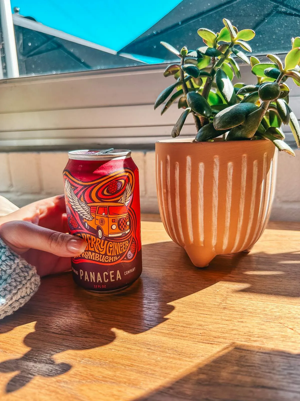 Panacea kombucha