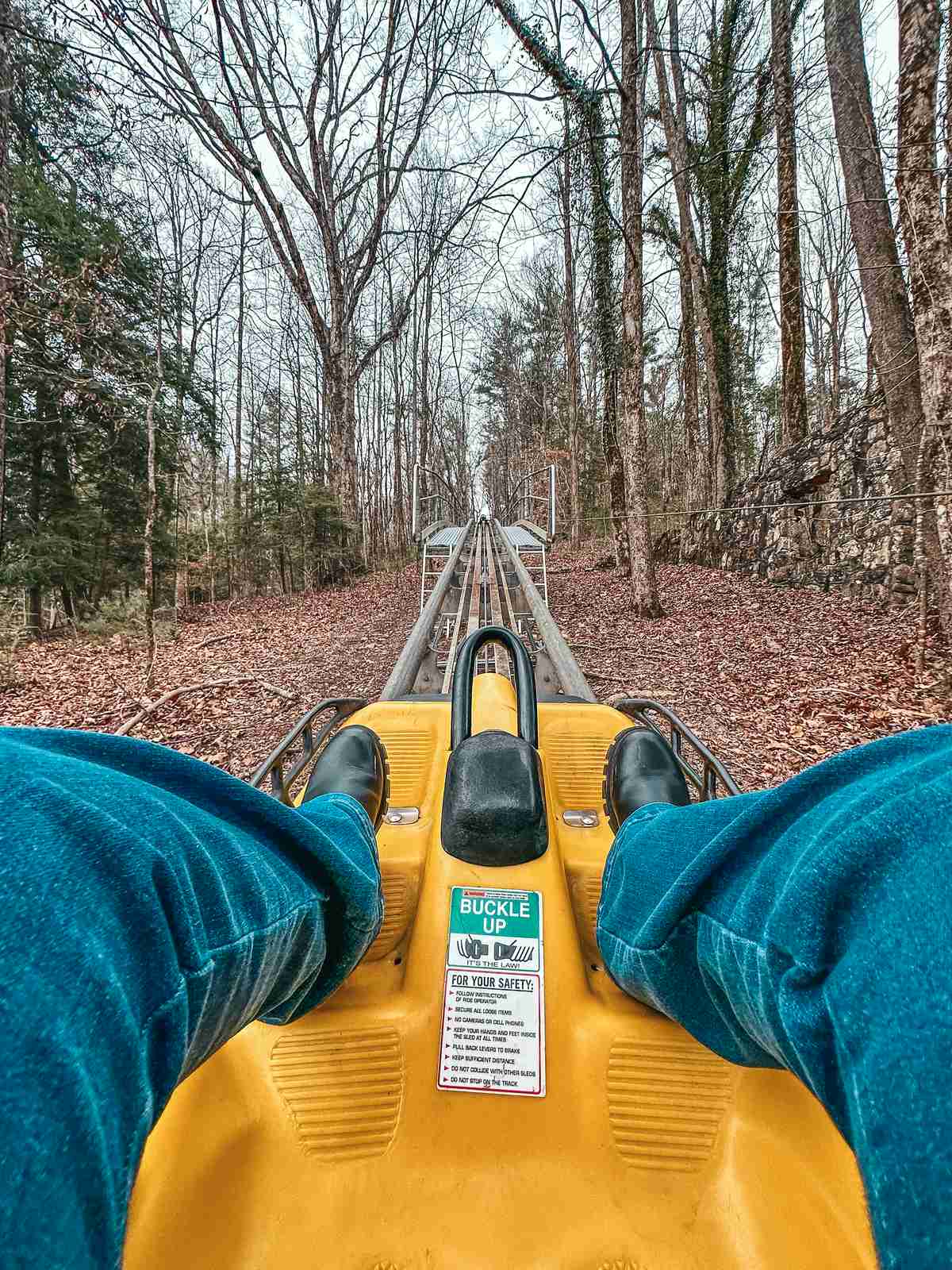 Alpine Helen Georgia Mountain Coaster