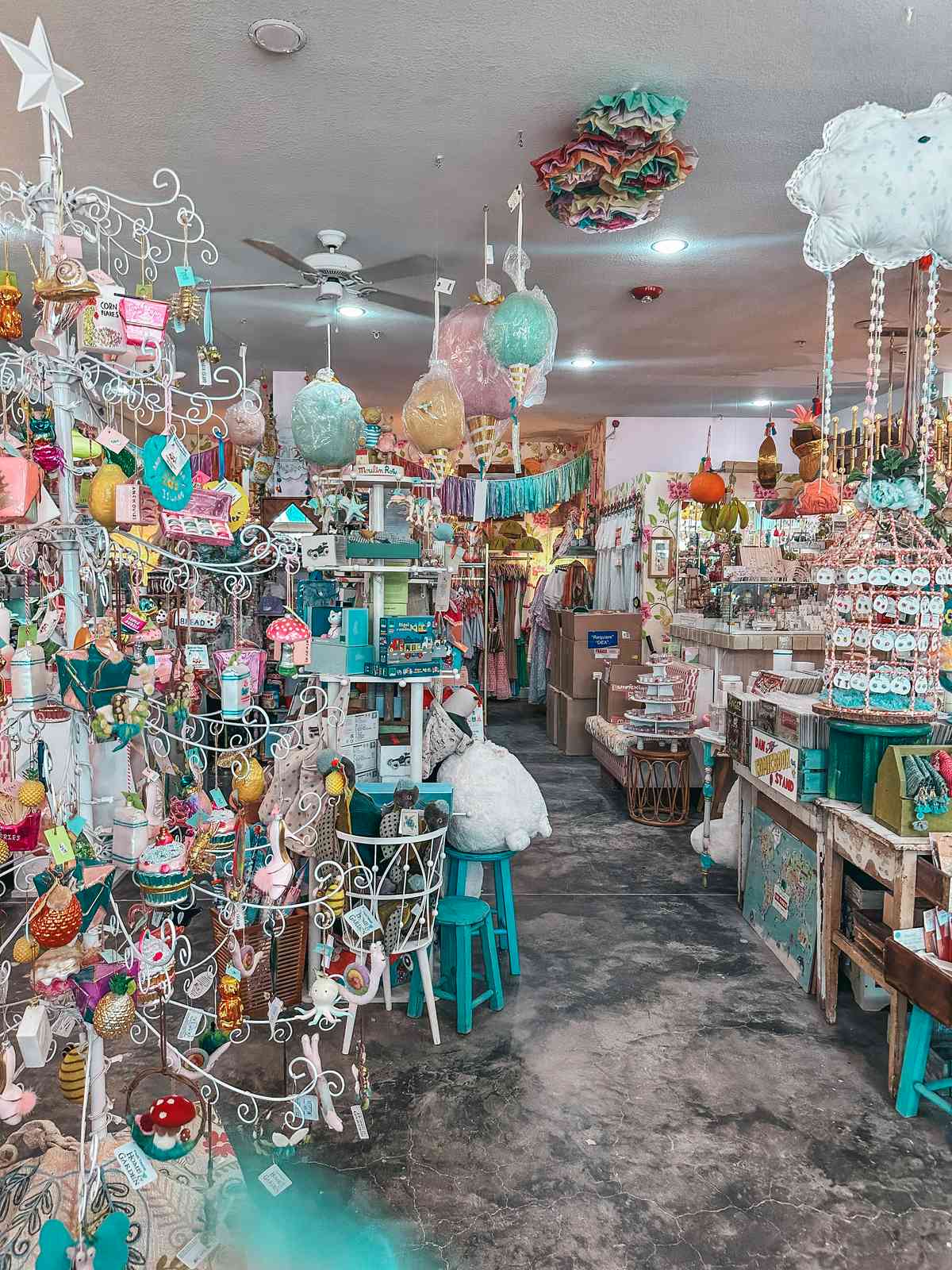 Cute shops AMI