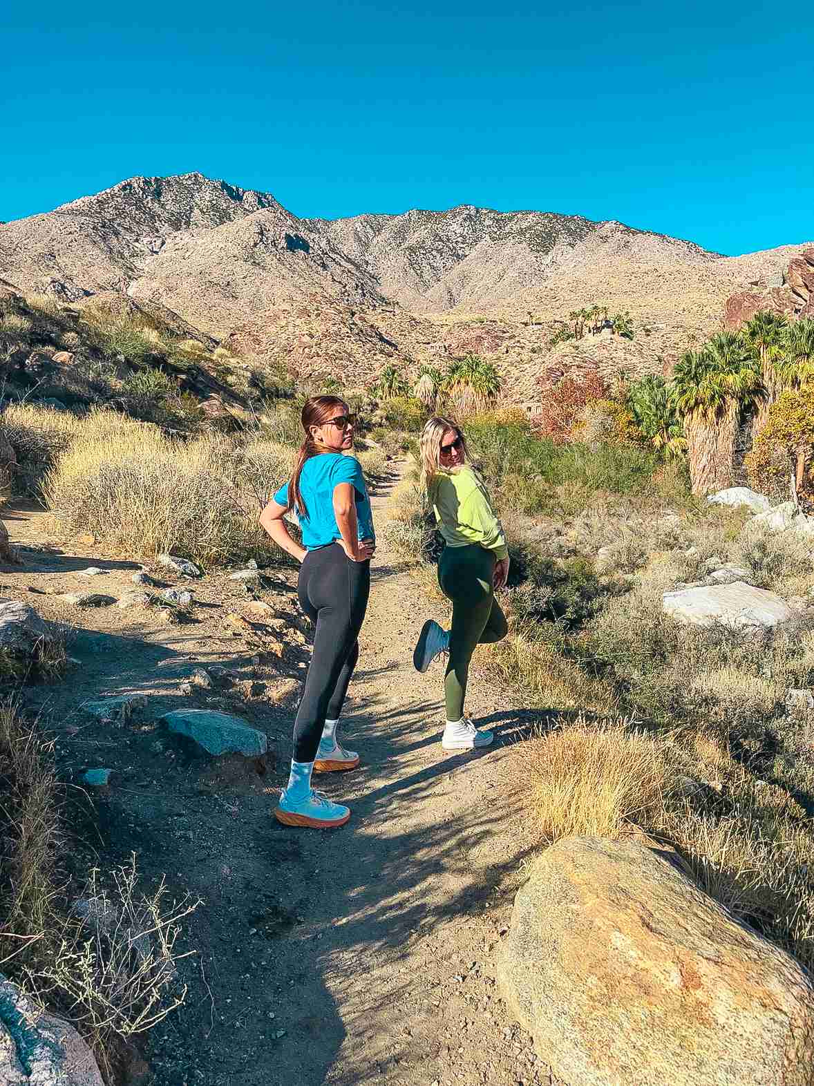 Hiking Andreas Canyon Palm Springs Trail