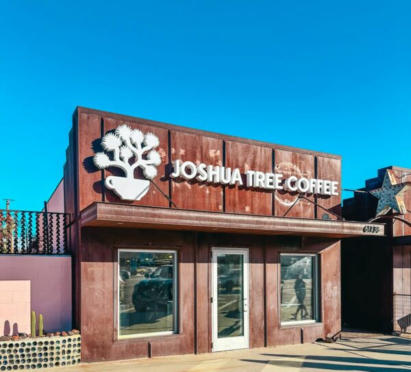 Joshua Tree Day Trip A Desert Paradise