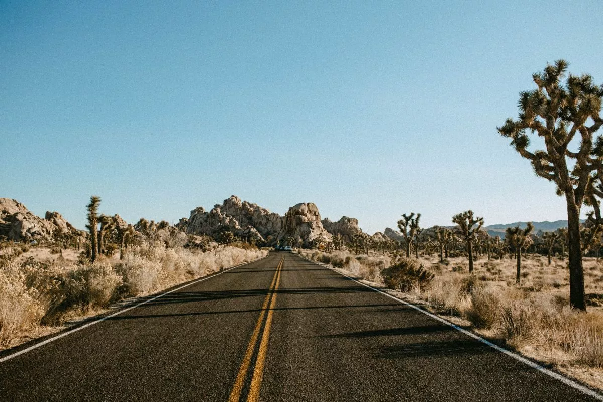 Joshua Tree National Park Road Trip Itinerary