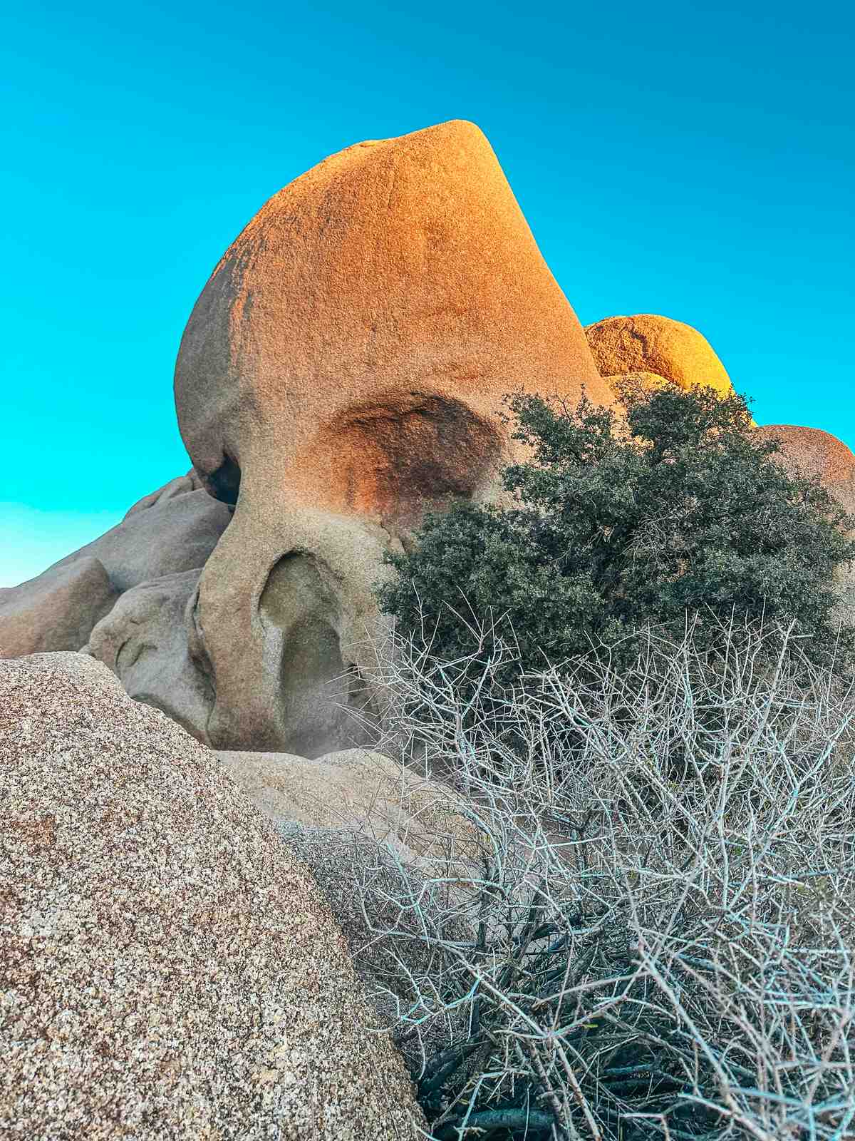 Skull Rock in Joshua Tree National Park