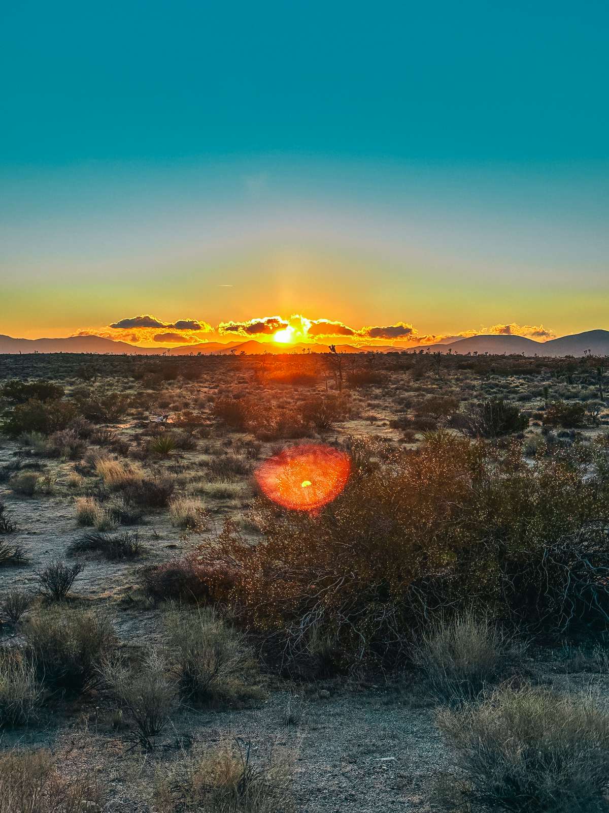 Sunset in Joshua Tree National Park