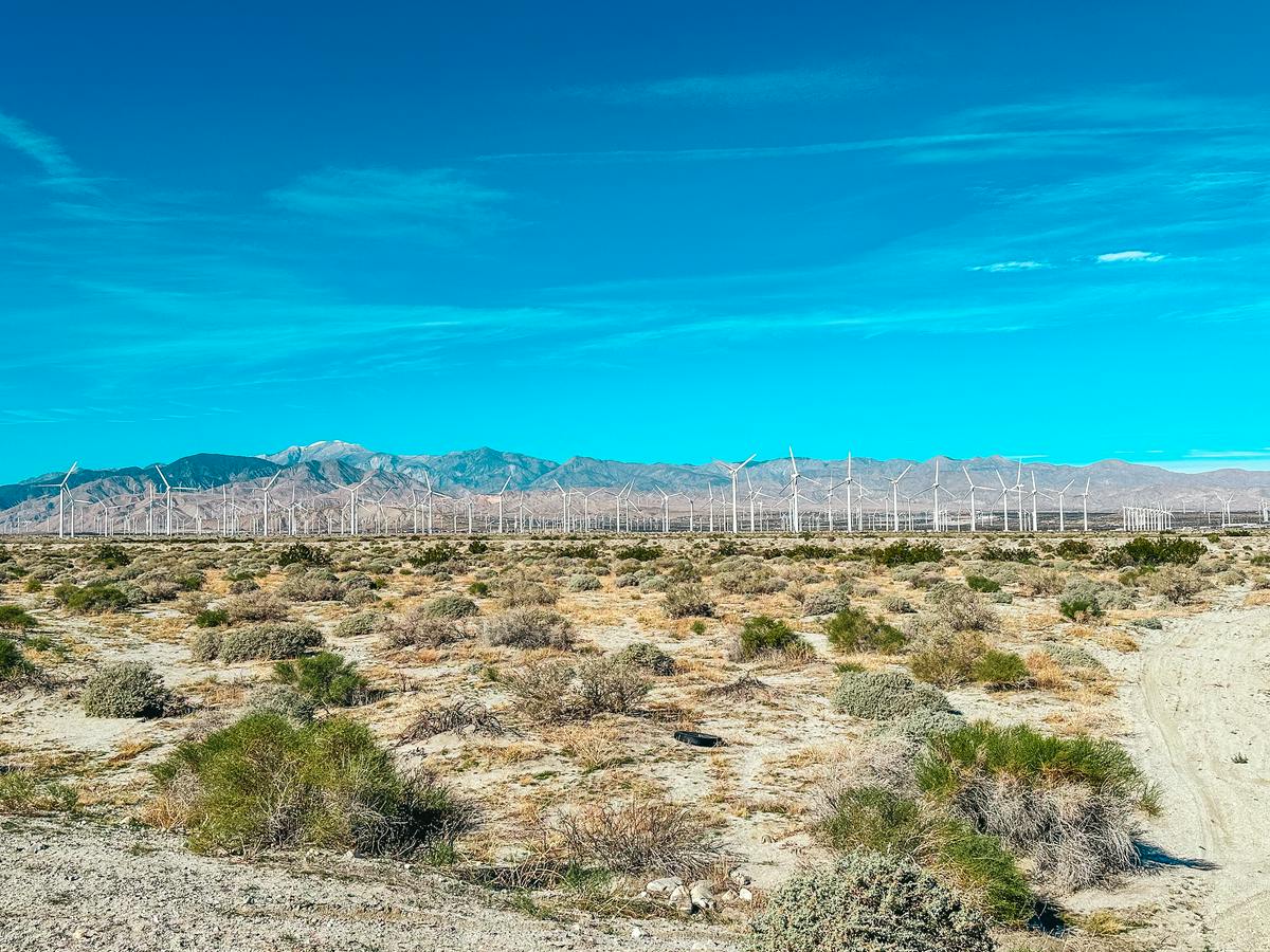 Windmills in Palm Springs road trip