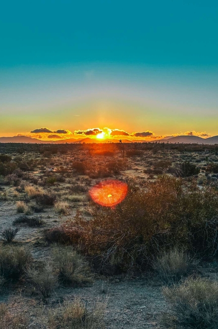 Epic Los Angeles to Joshua Tree Road Trip Itinerary