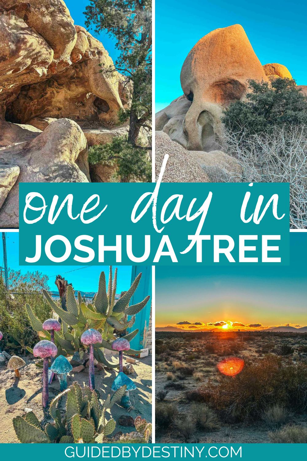 one day itinerary joshua tree