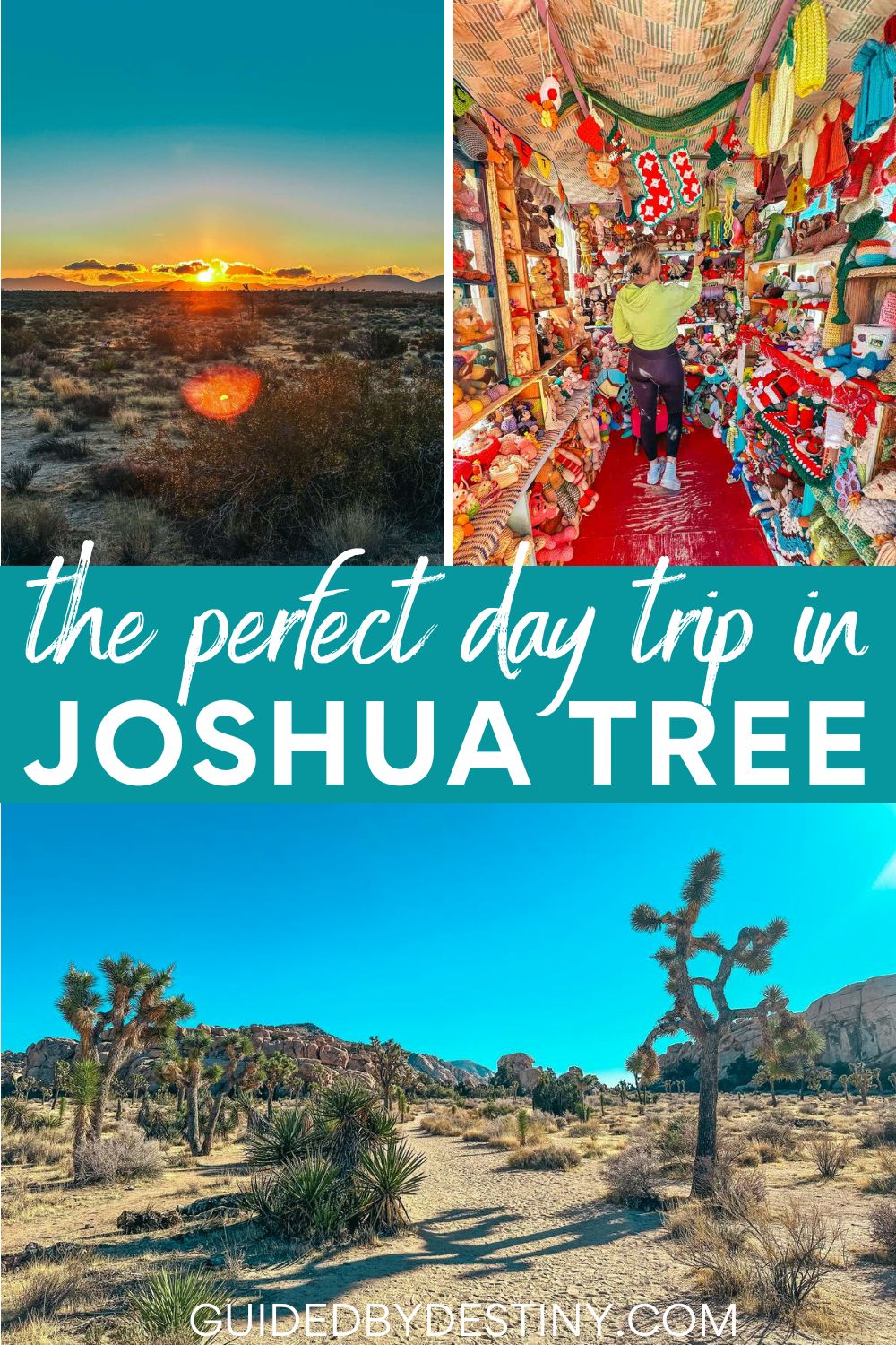 the perfect day trip in joshua tree national park