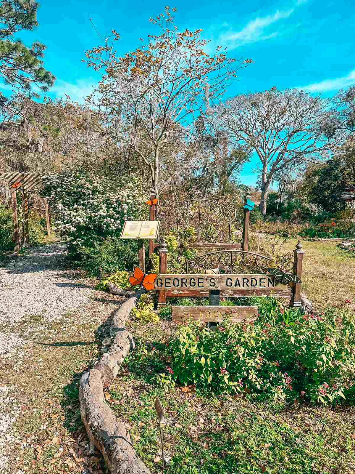 Butterfly Garden at Folly Farms Nature Preserve in Safety Harbor