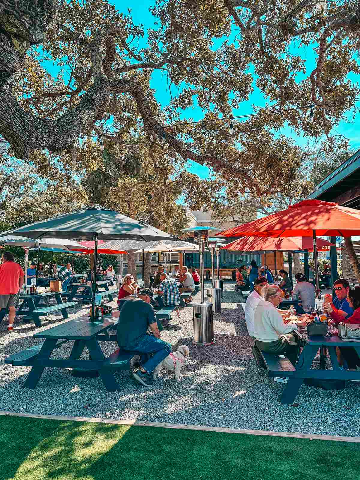 Outdoor patio at Sponge City Brewing in Tarpon Springs