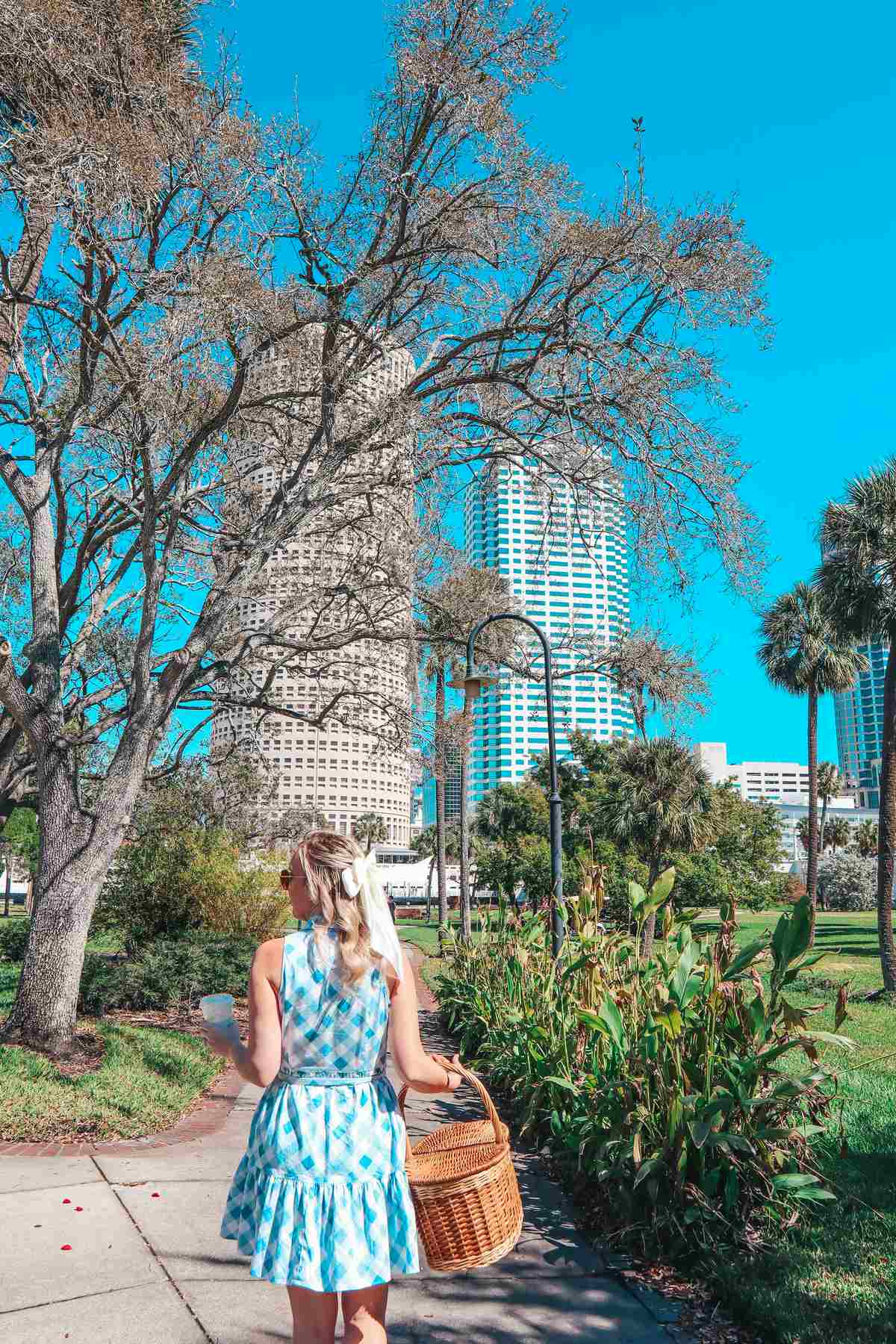 Picnic in Tampa Florida