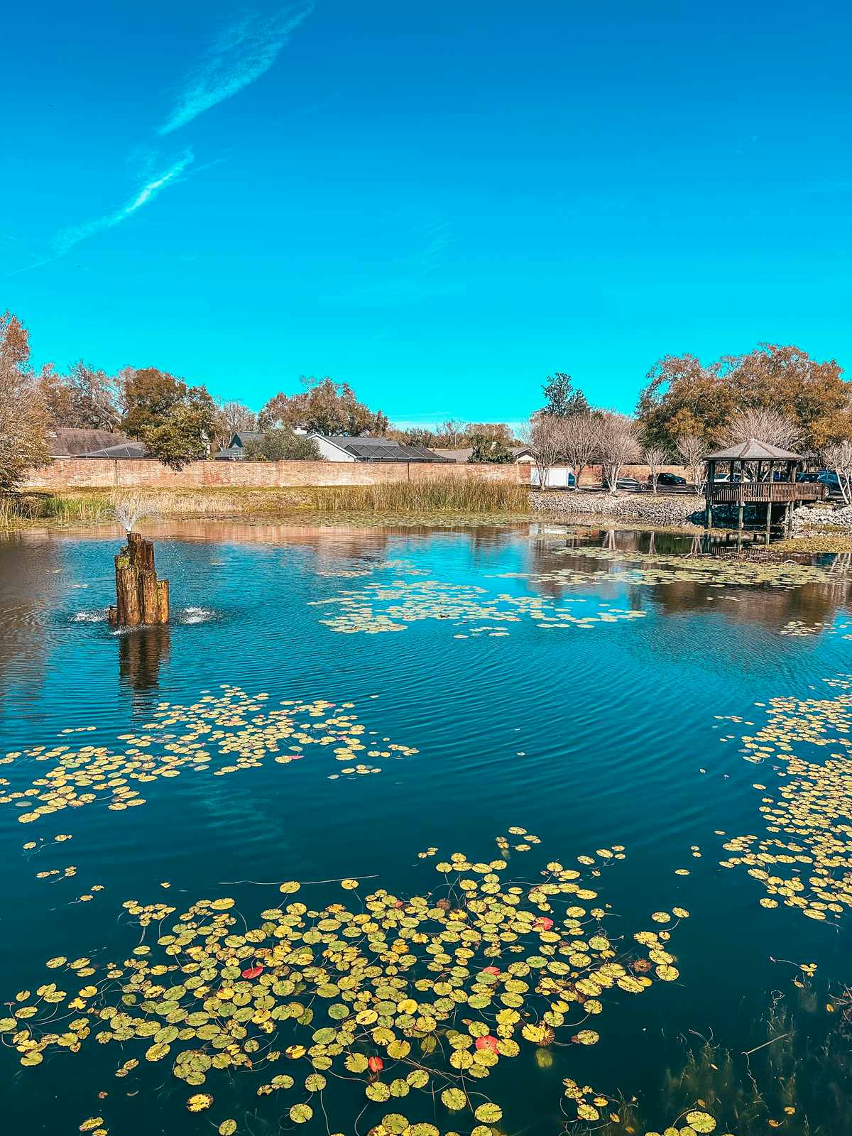 Views from The Cracked Pepper Cafe