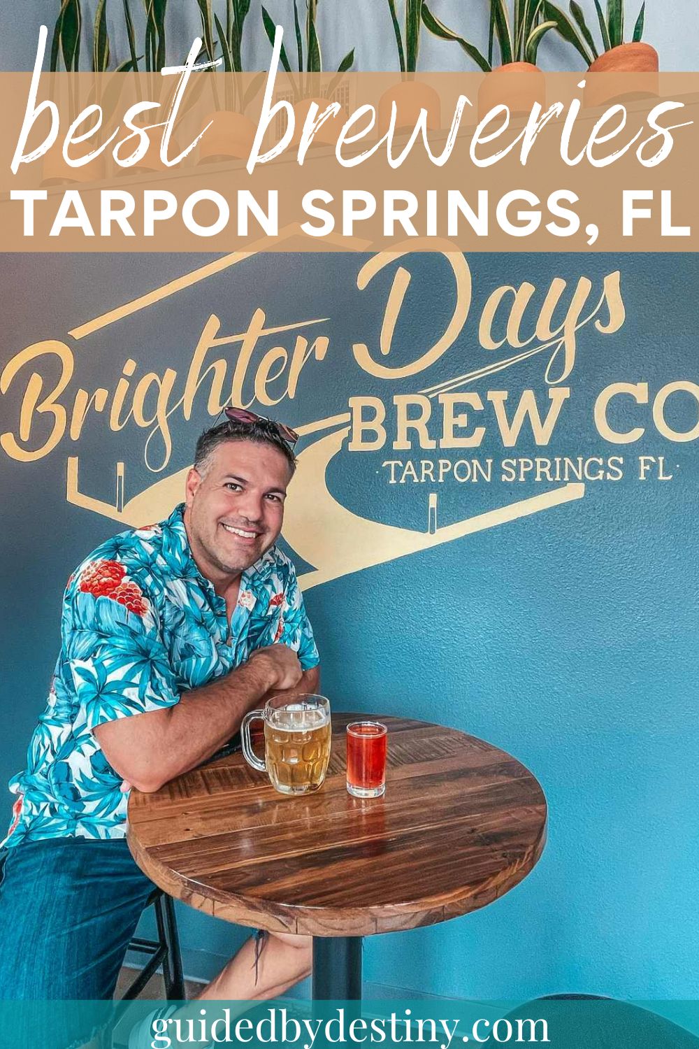 best breweries in Tarpon Springs Fl