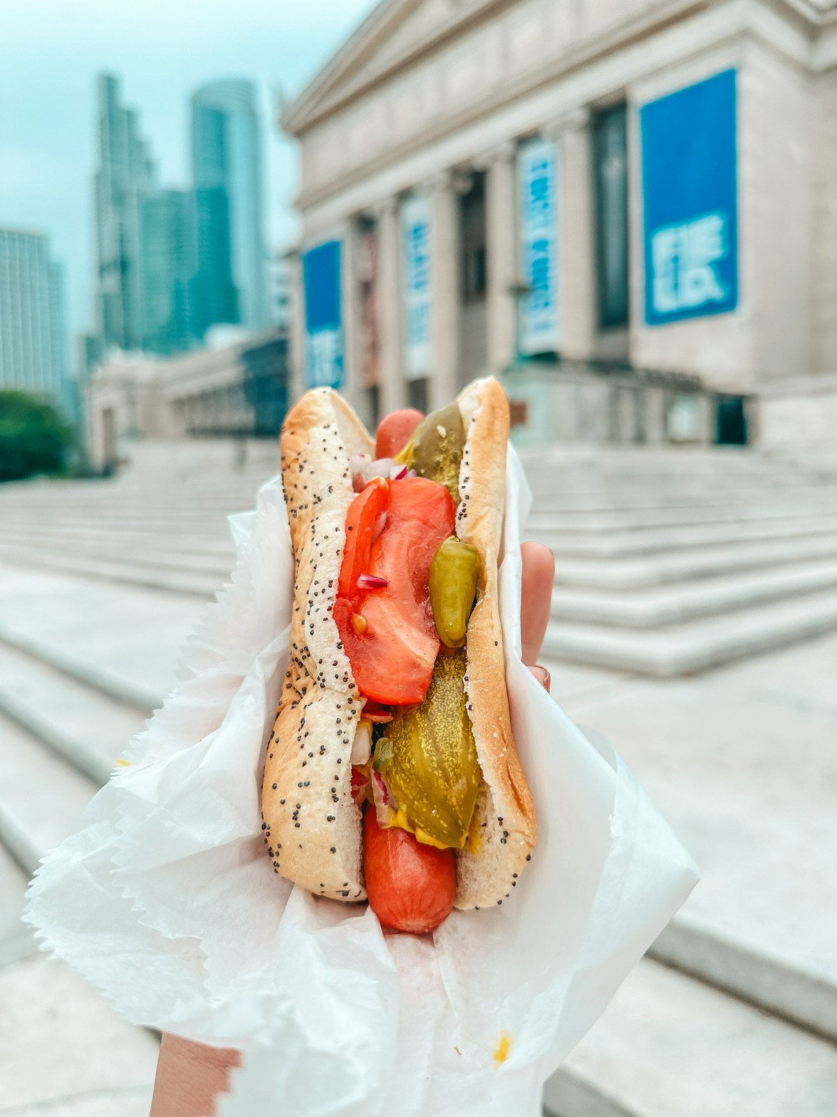 Chicago style hot dog in Chicago