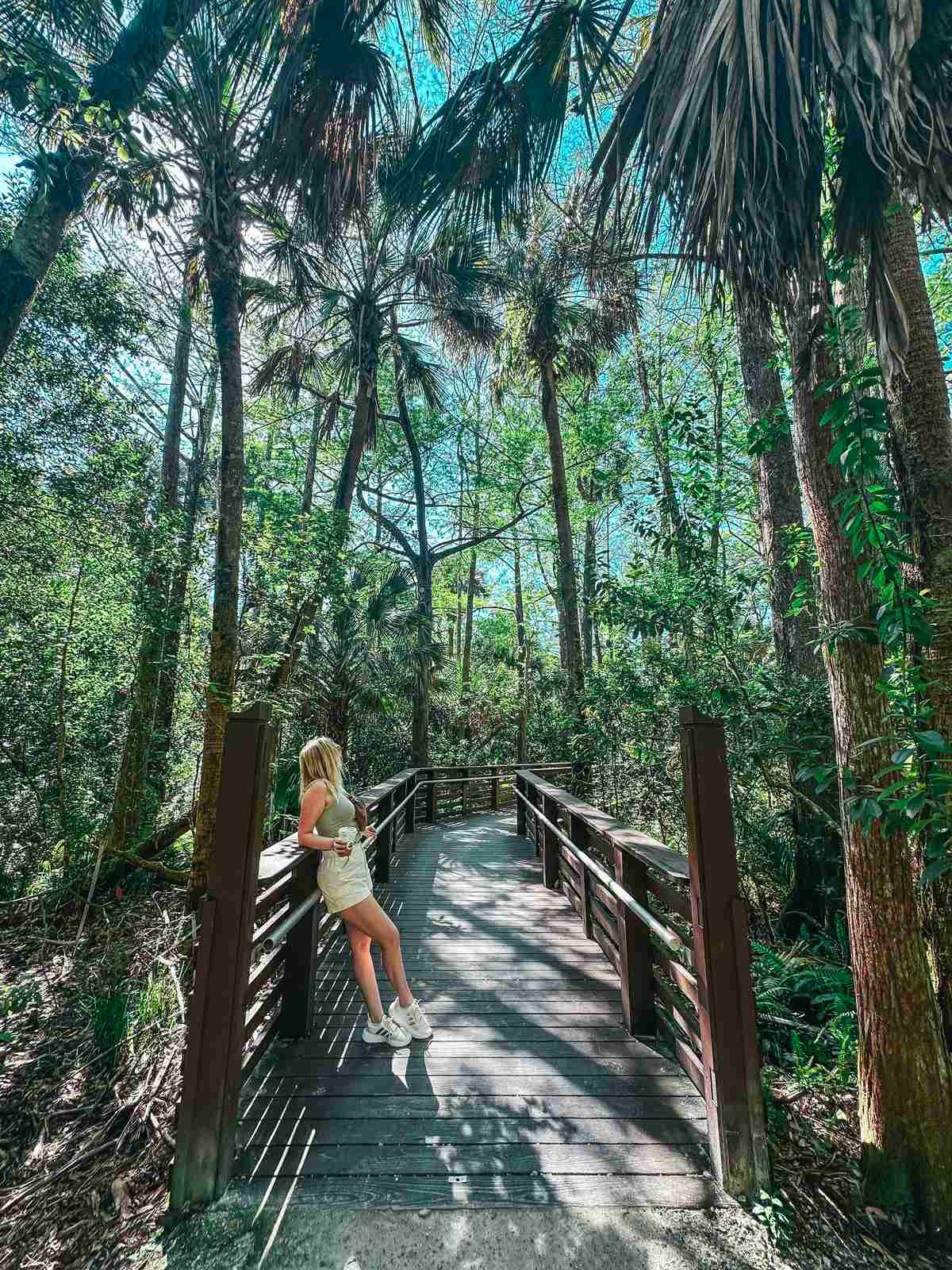 Enjoying the trails at Riverbend Park in Jupiter