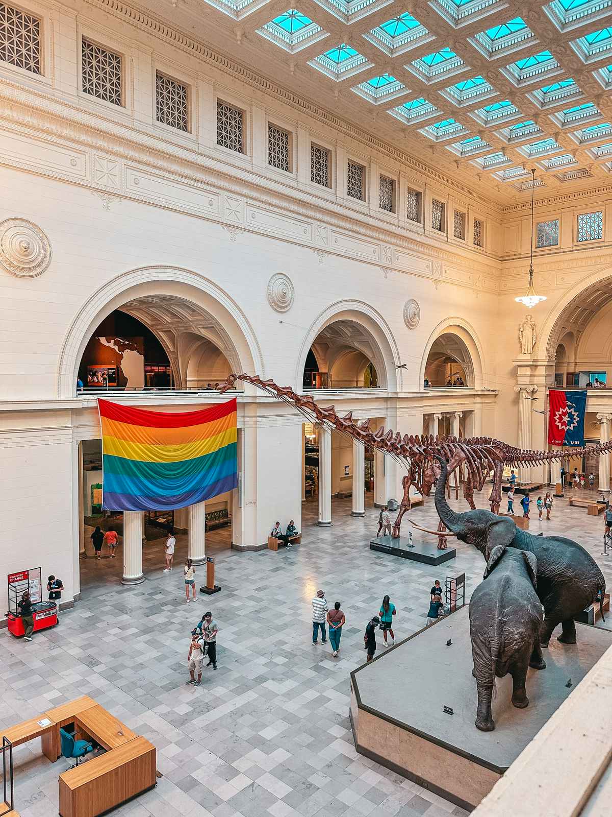 Inside of The Field Museum in Chicago