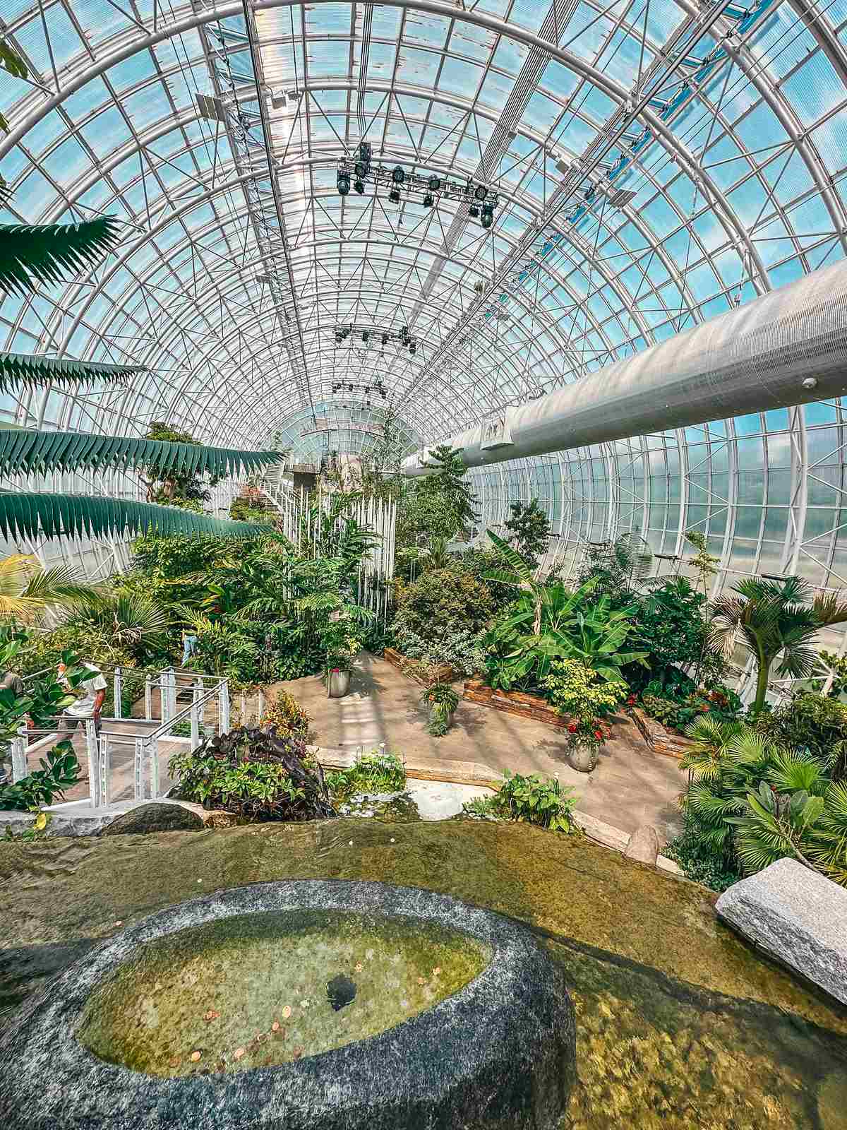 Inside of the Crystal Bridge Tropical Conservatory at the Myriad Botanical Gardens