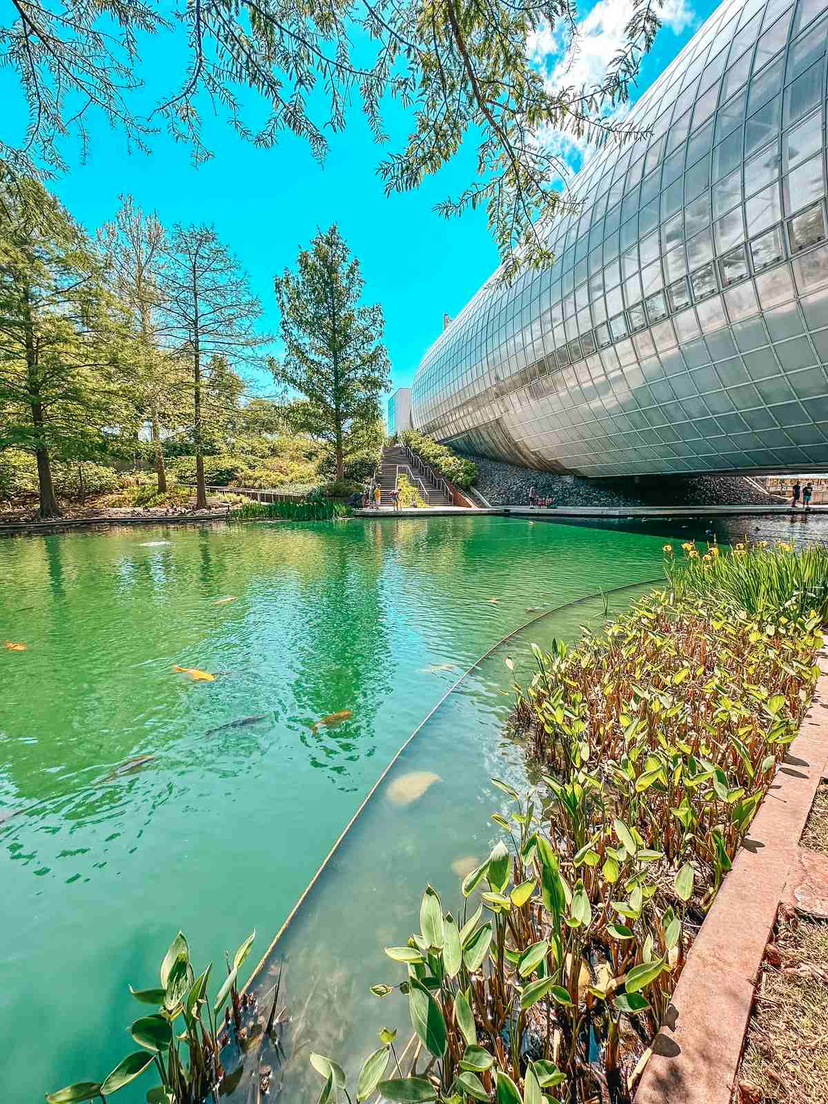 Outside view of the Crystal Bridge Tropical Conservatory at the Myriad Botanical Gardens