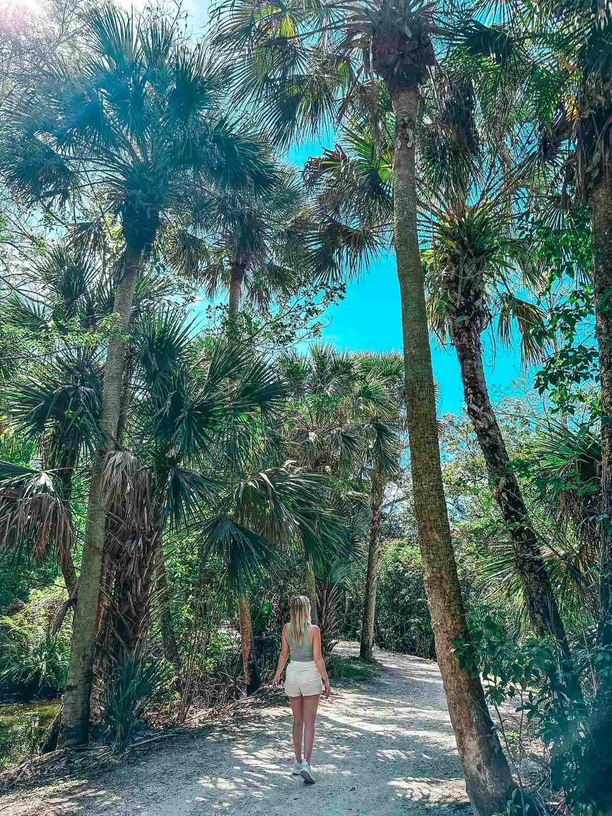 Strolling the trails at Riverbend Park in Jupiter