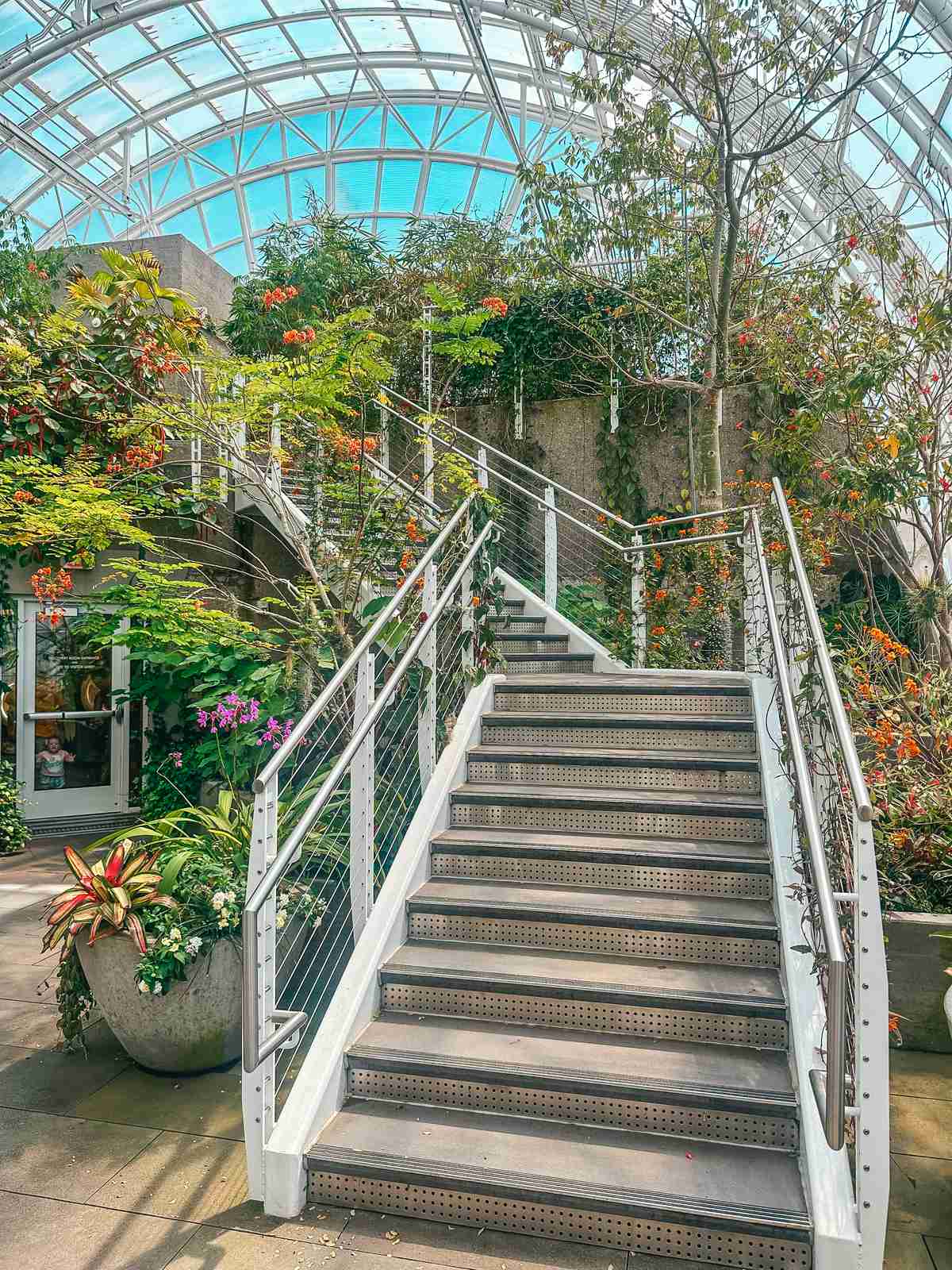 Stunning Myriad Botanical Gardens in Oklahoma City