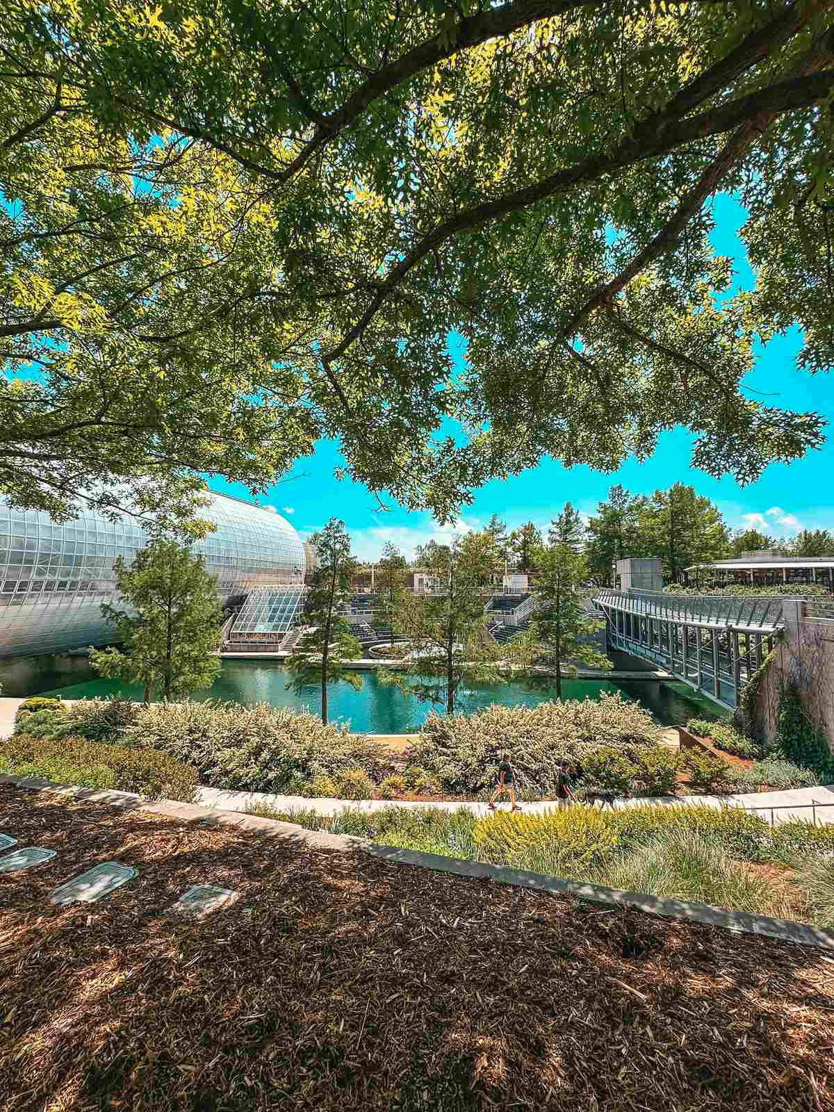 View of the Crystal Bridge Tropical Conservatory at the Myriad Botanical Gardens