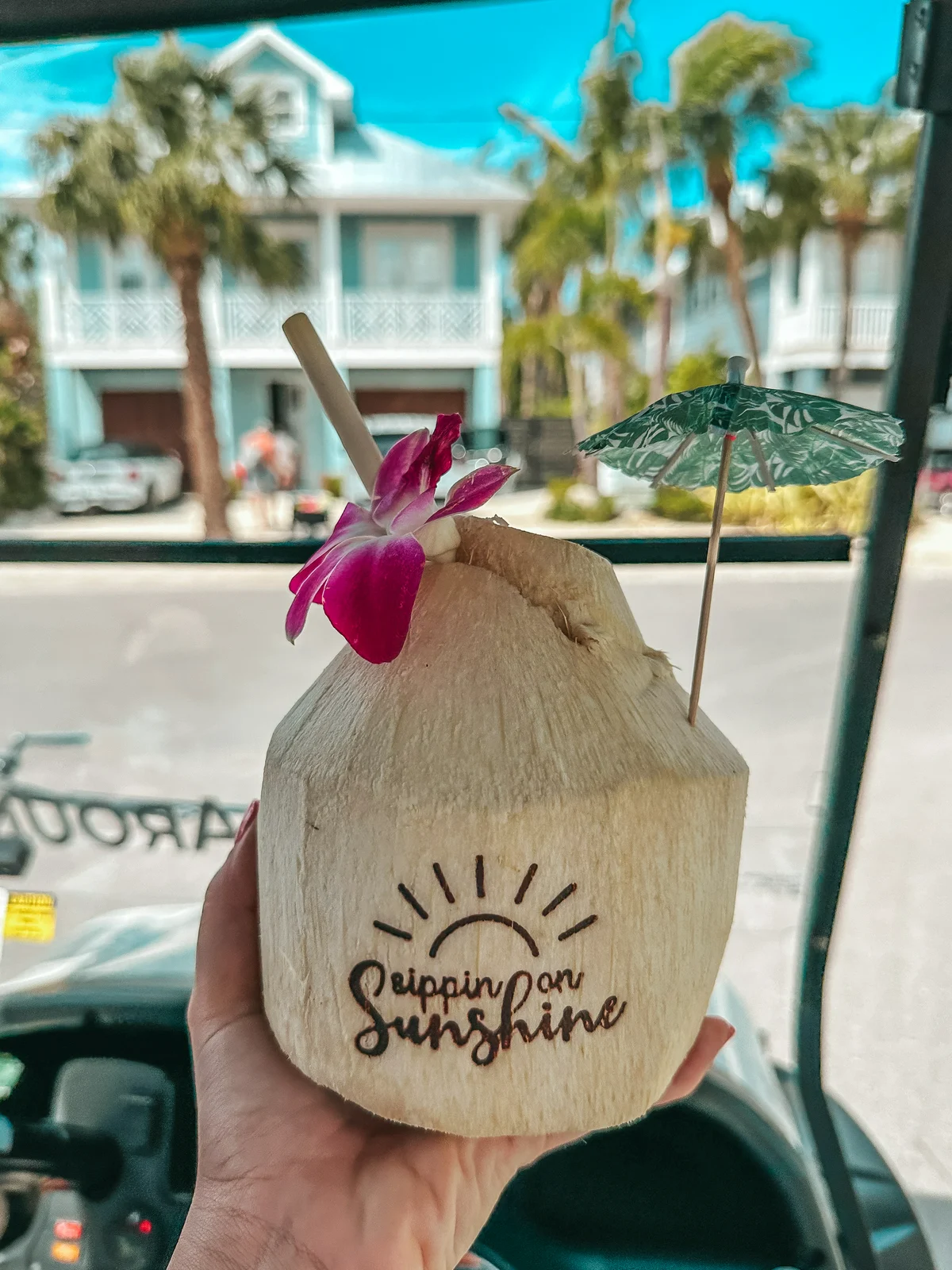 Fresh coconut from Surfing Coconuts on Anna Maria Island