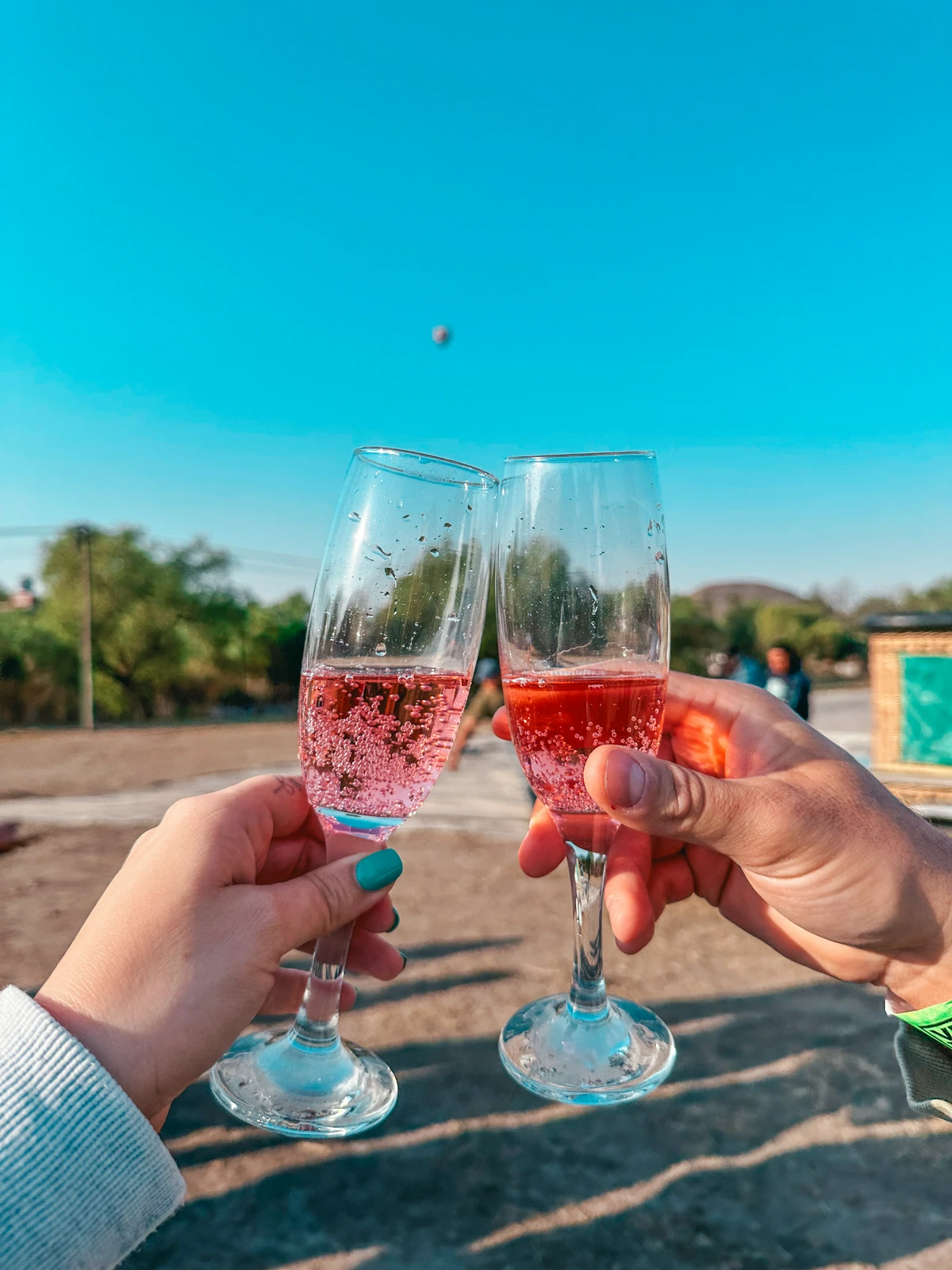 Cheersing champagne after hot air balloon ride Mexico City