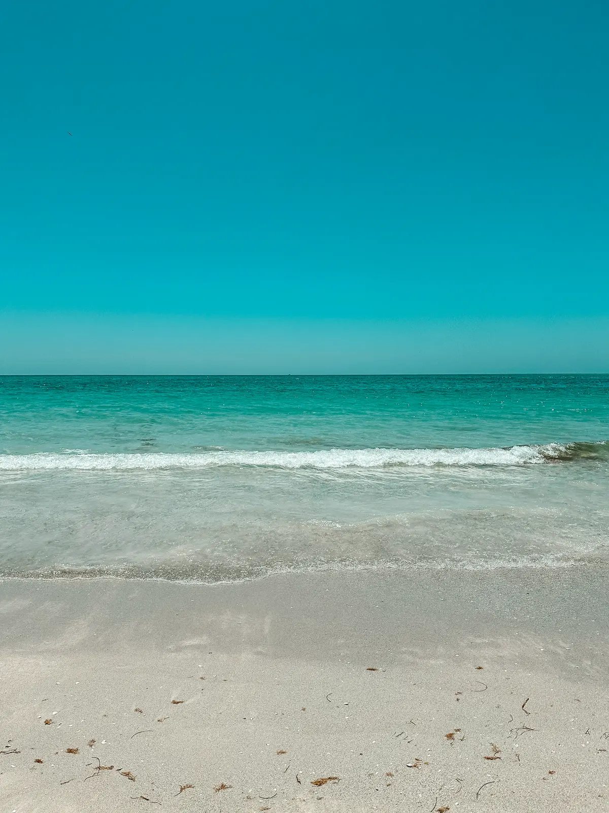 Clear water at Anna Maria Island Beach