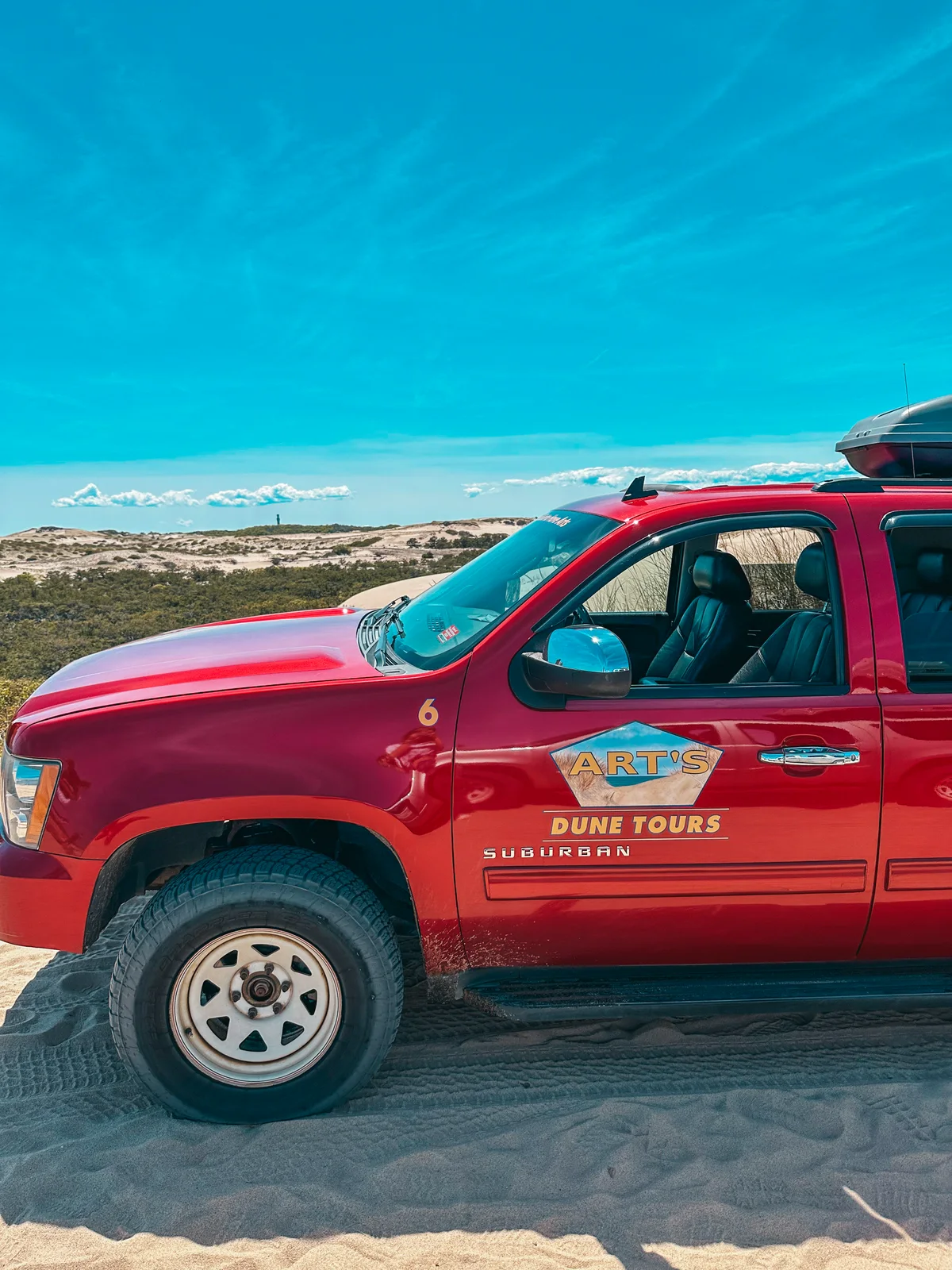 Arts Dune Tour in Provincetown