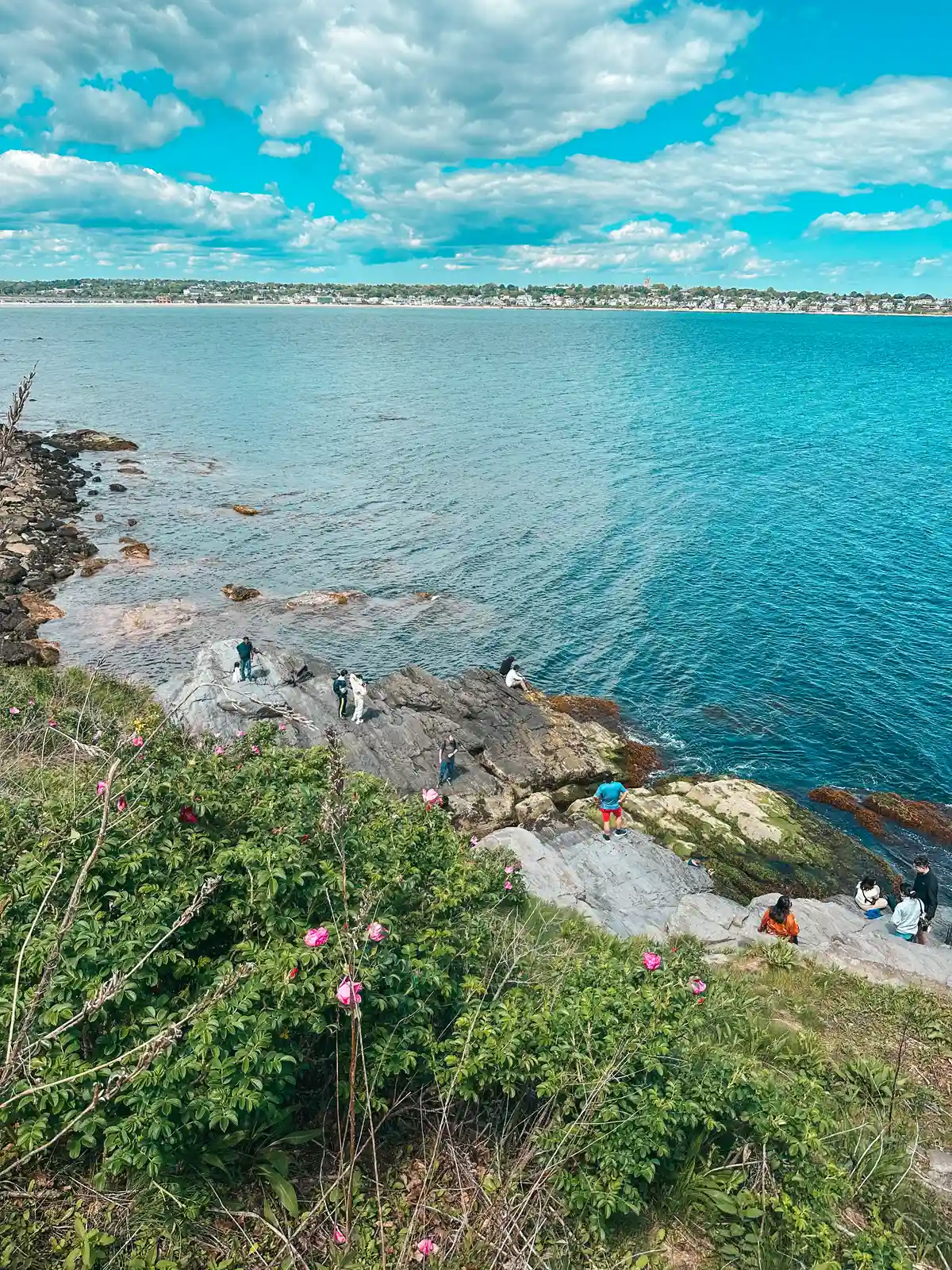 Beautiful views from Cliff Walk in Newport Rhode Island