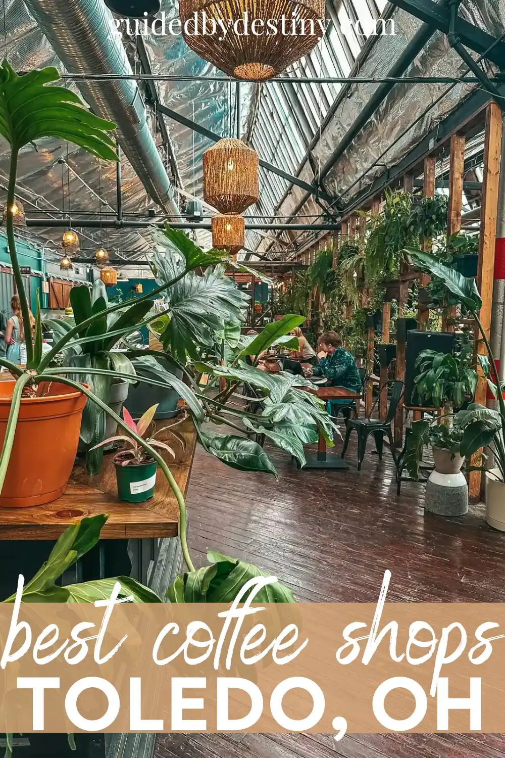Best coffee shops in Toledo Oh