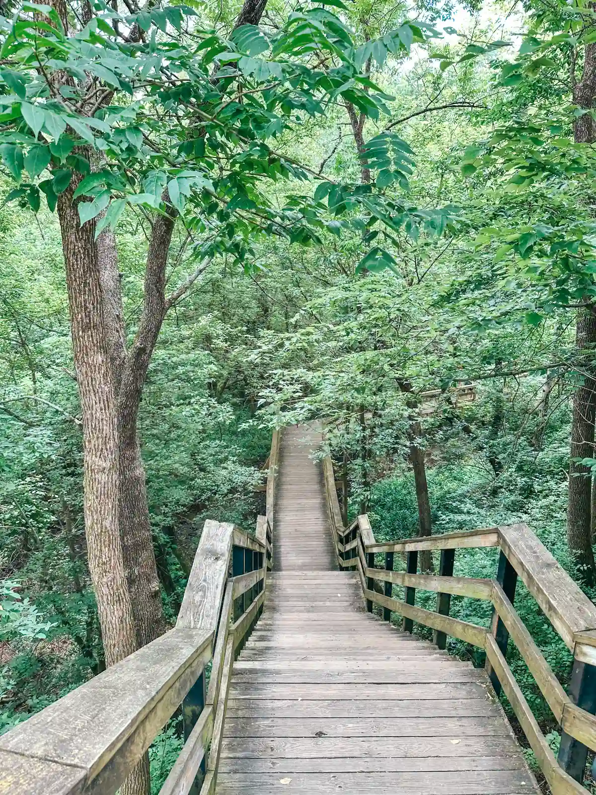 Boardwalk at Hayden Falls Park in Columbus Ohio