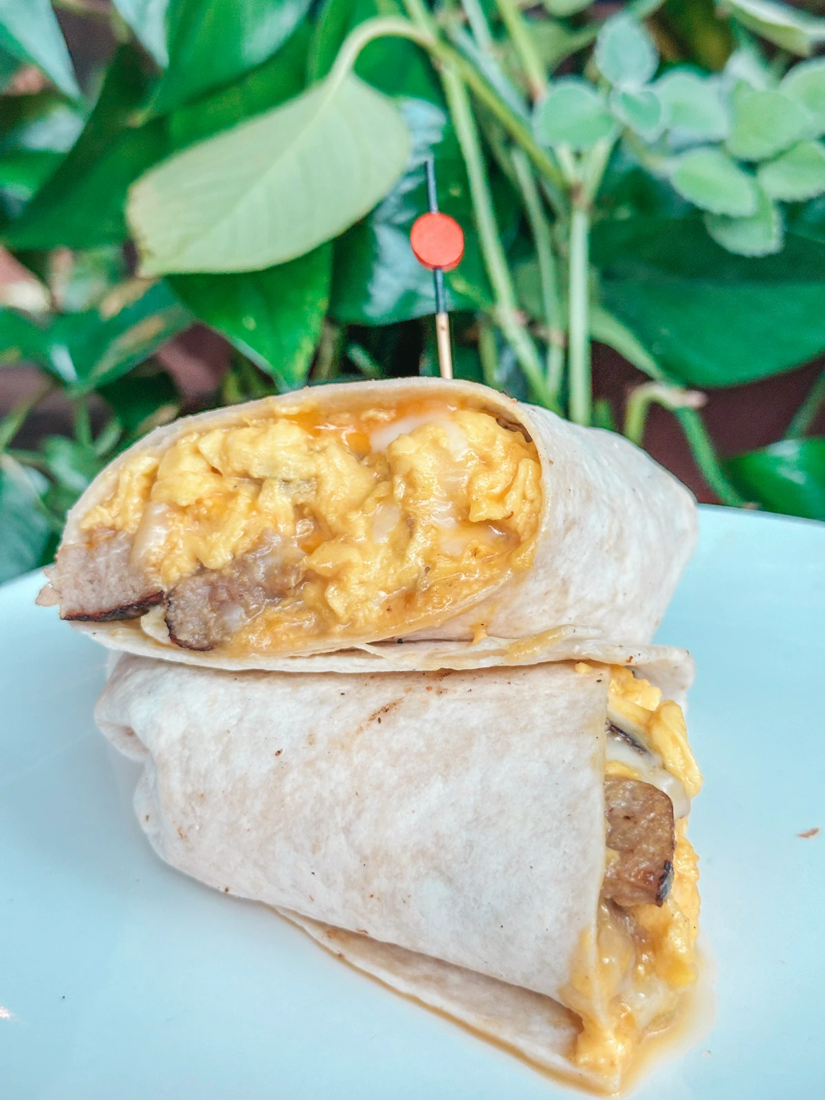 Breakfast burrito from Earth Coffeehouse in Toledo Ohio