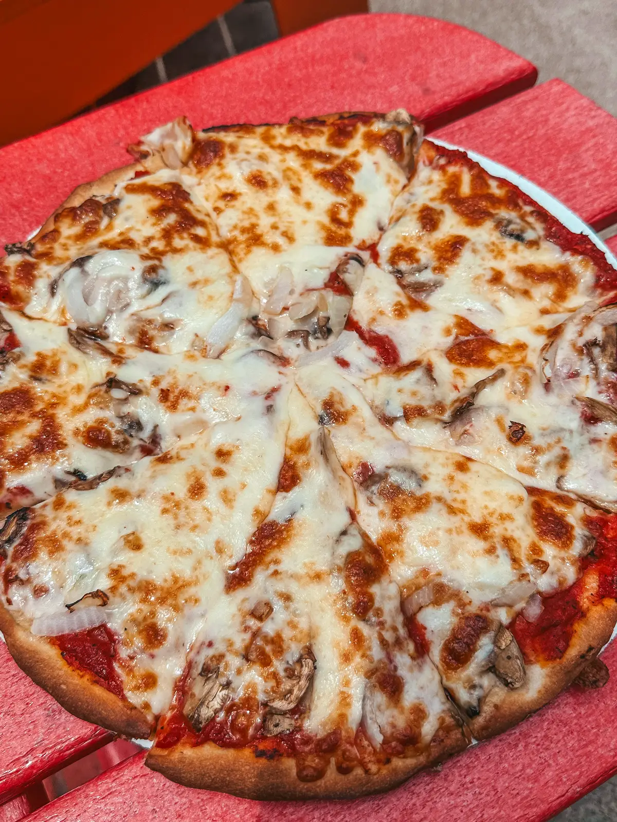 Mushroom and onion pizza from Frosty Pizza on Put in Bay