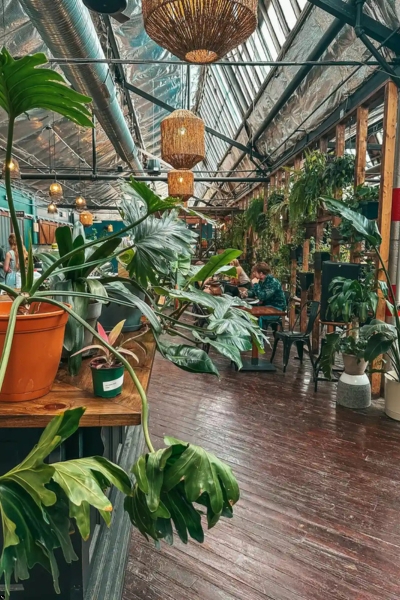 Must visit coffee shops in Toledo Ohio