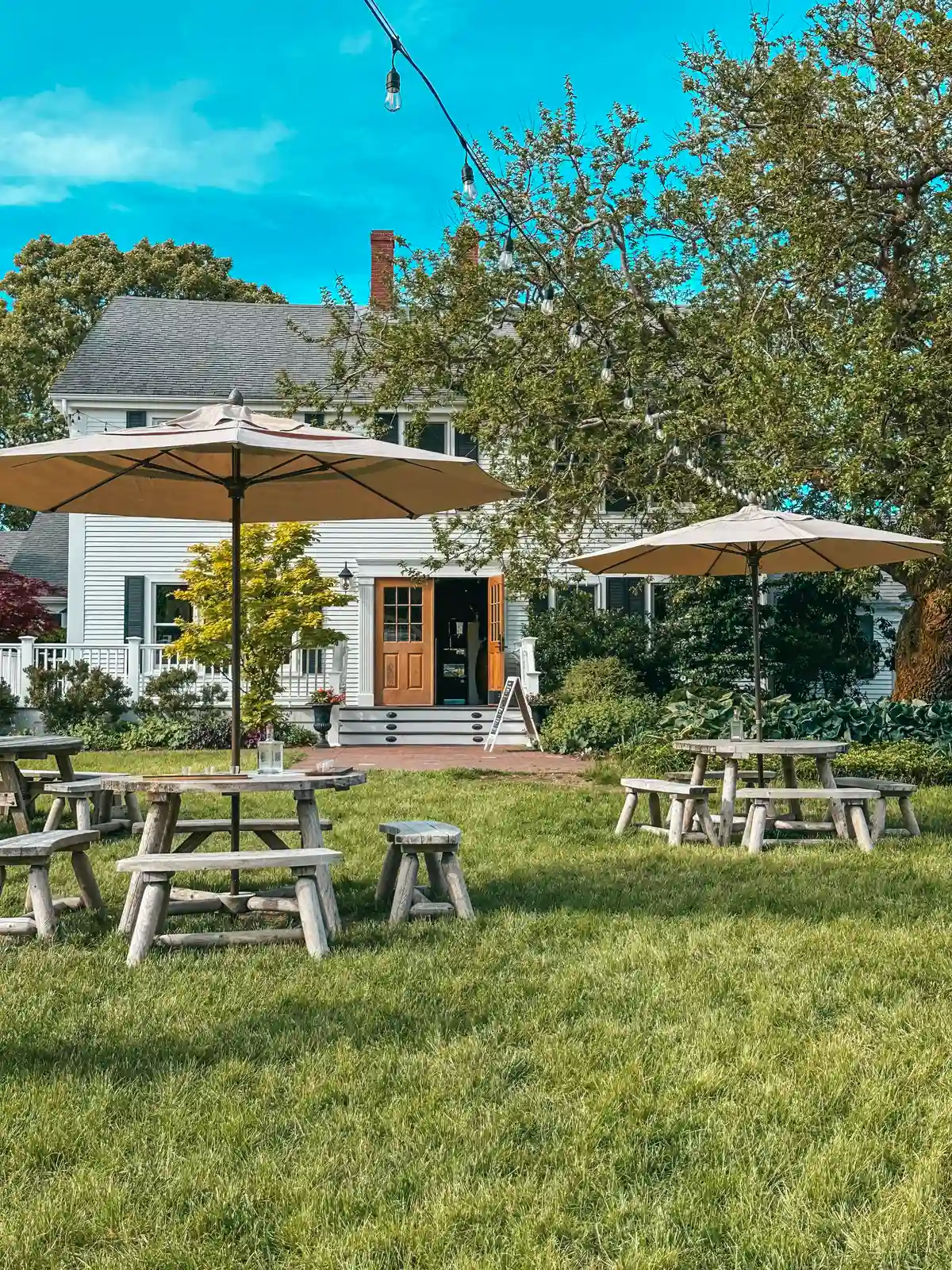 Outdoor area at Truro Vineyards on Cape Cod
