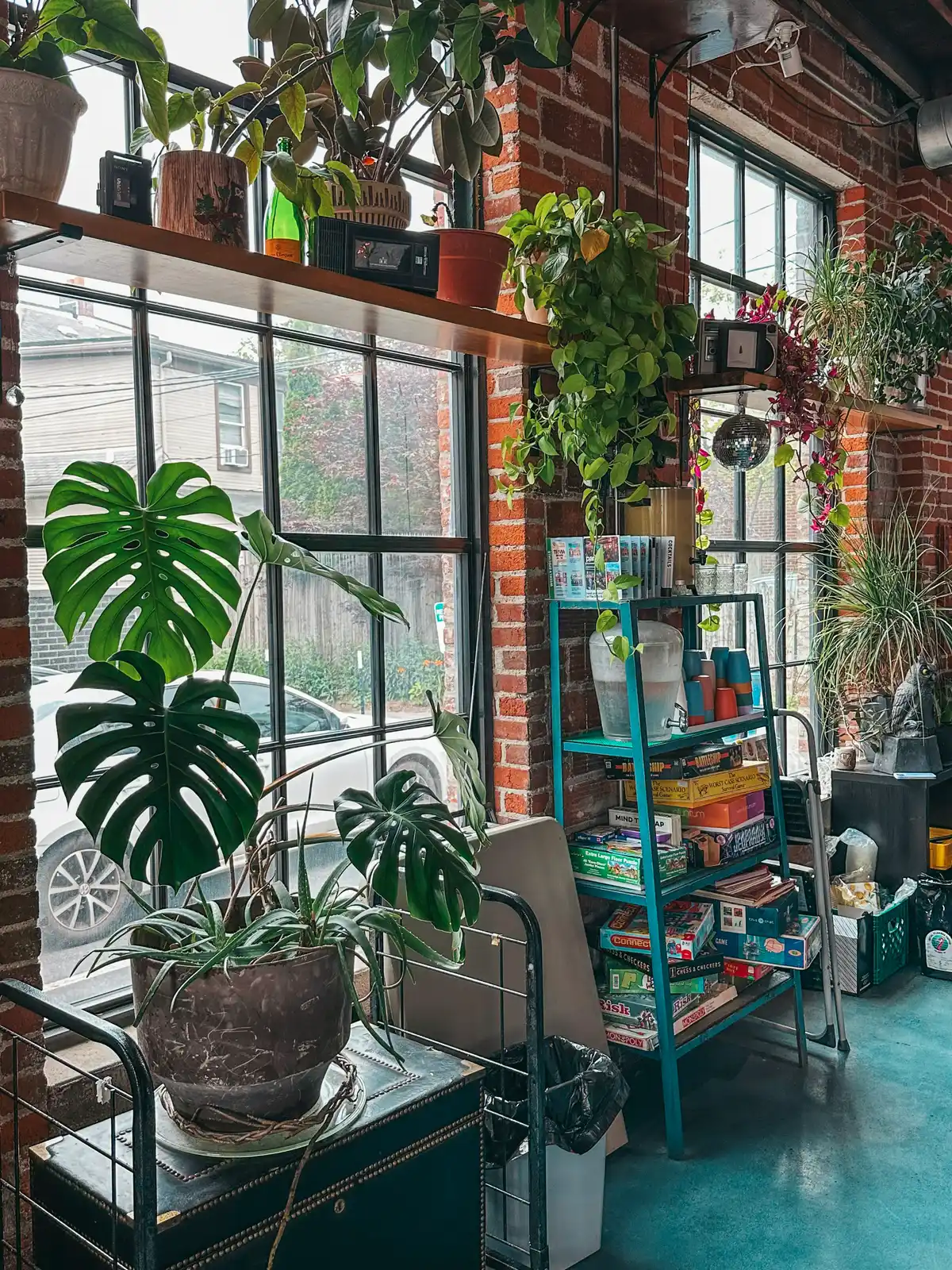Plants and greenery at Ravellos coffee shop in Columbus Ohio