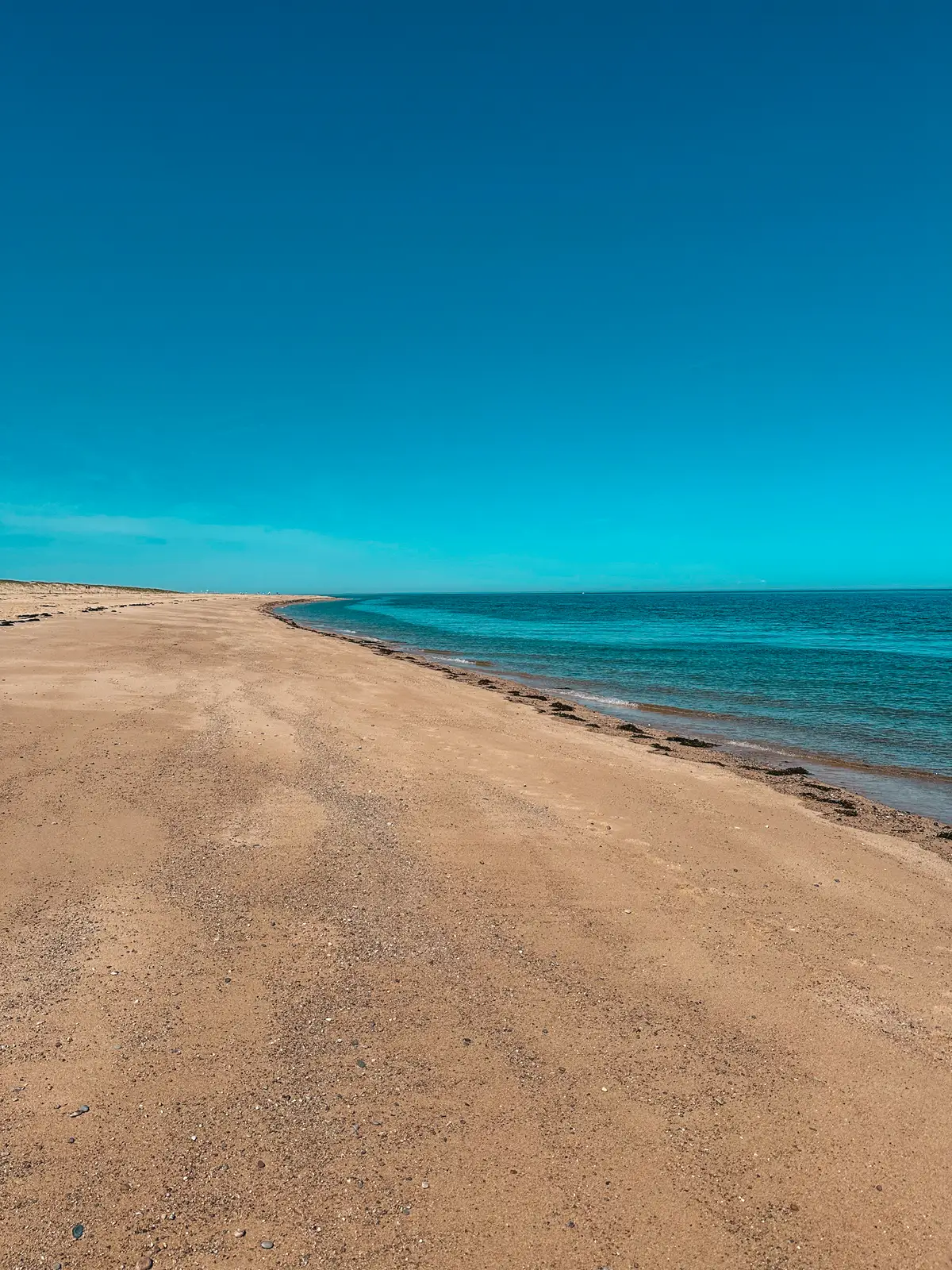 Race Point Beach on Cape Cod