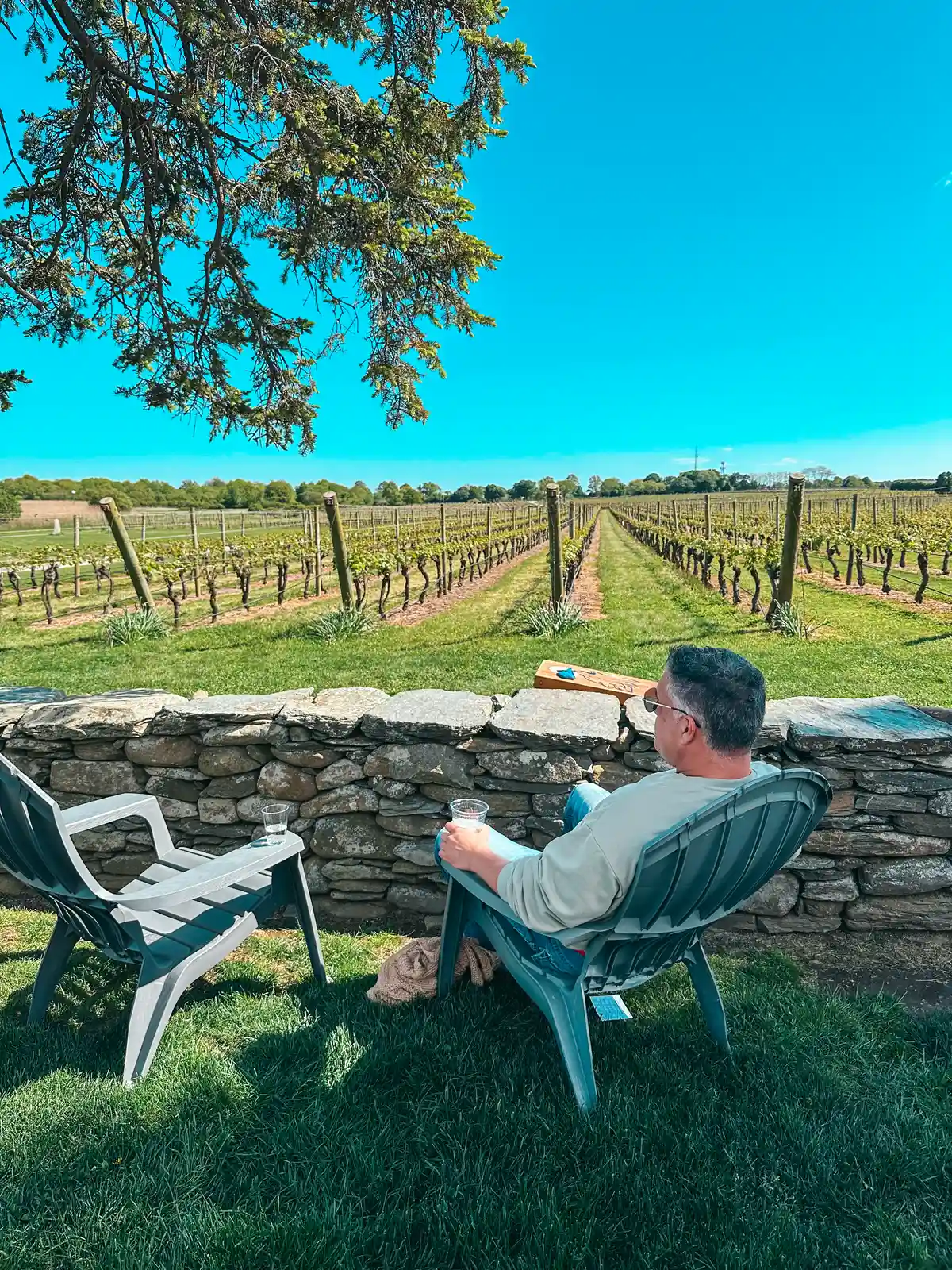 Remi relaxing in a chair at Newport Vineyards