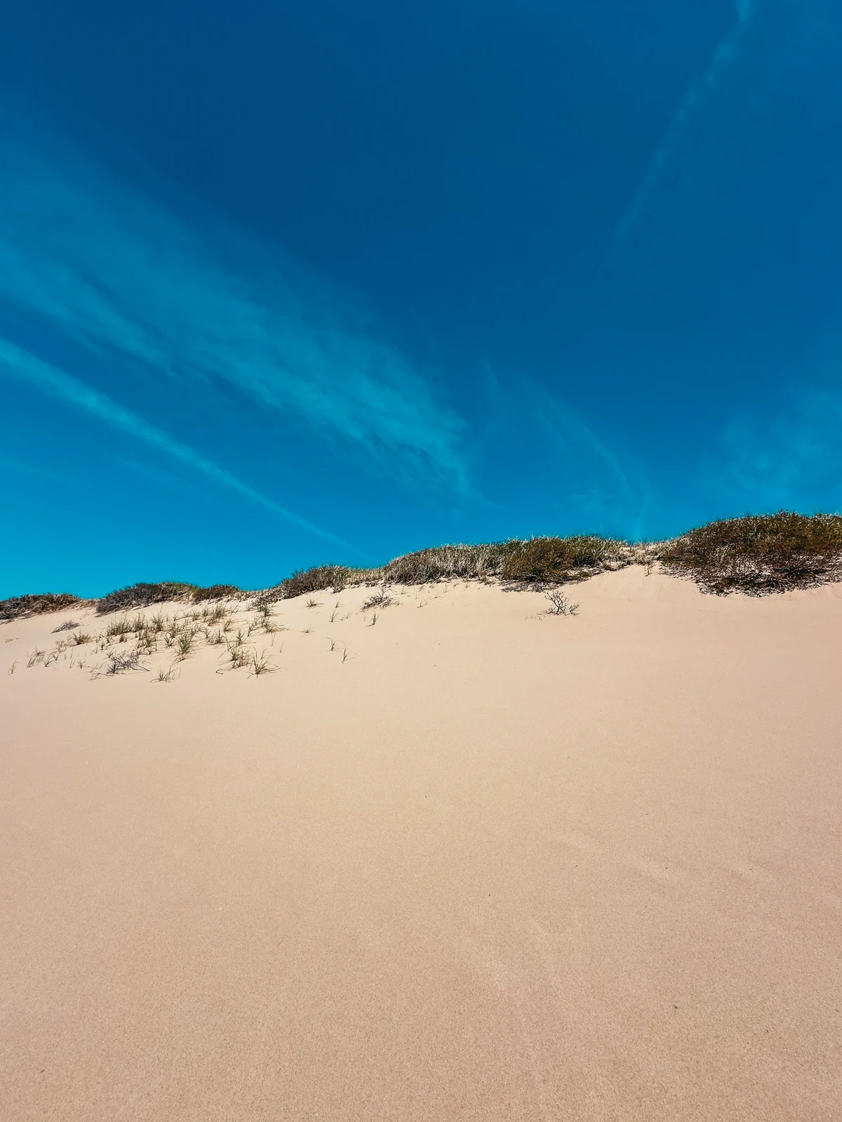 Sand Dunes at Cape Cod National Seashore in Provincetown