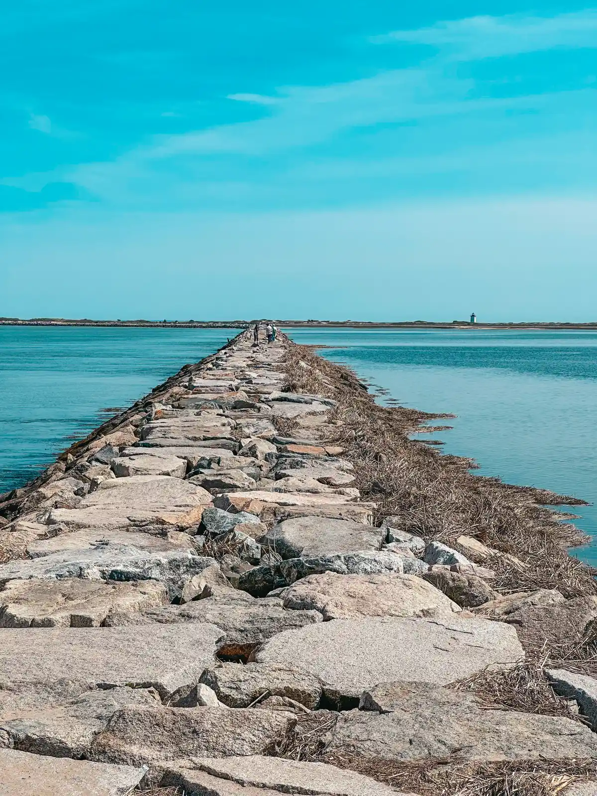 View of Long Point Lighthouse from Pilgrims First Landing Park