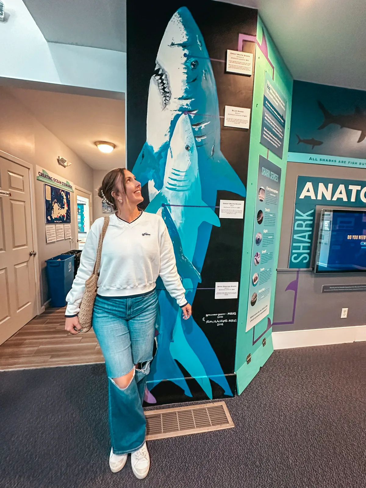 Woman comparing height to different types of sharks at Atlantic White Shark Conservancy (AWSC) Shark Center in Chatham