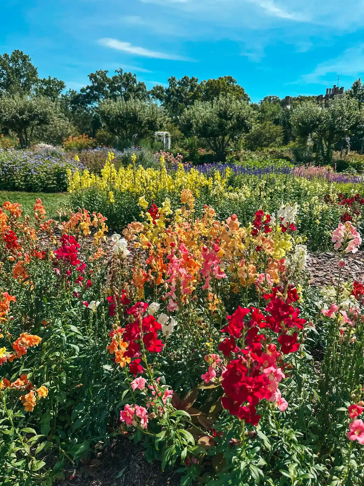 Beautiful blooming flowers at Stan Hywet Hall and Gardens in Akron Ohio