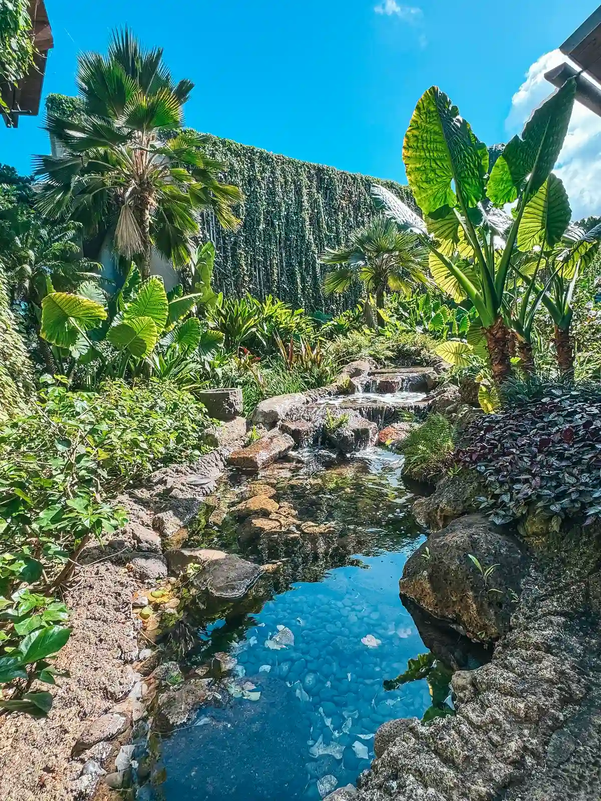 Beautiful little waterfall at 1 Hotel Hanalei Bay on Kauai